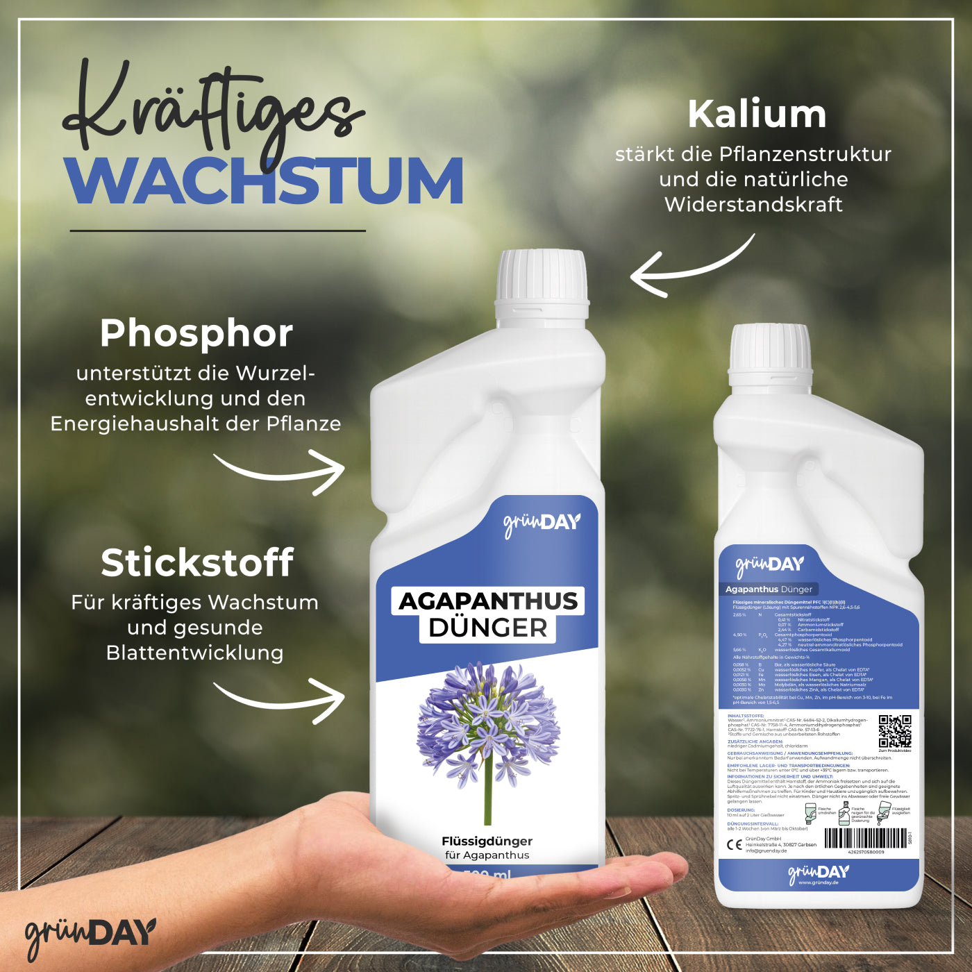 Gründay Agapanthusdünger – Produktansicht 4