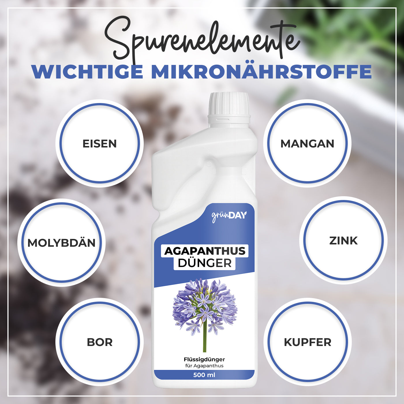 Gründay Agapanthusdünger – Produktansicht 5