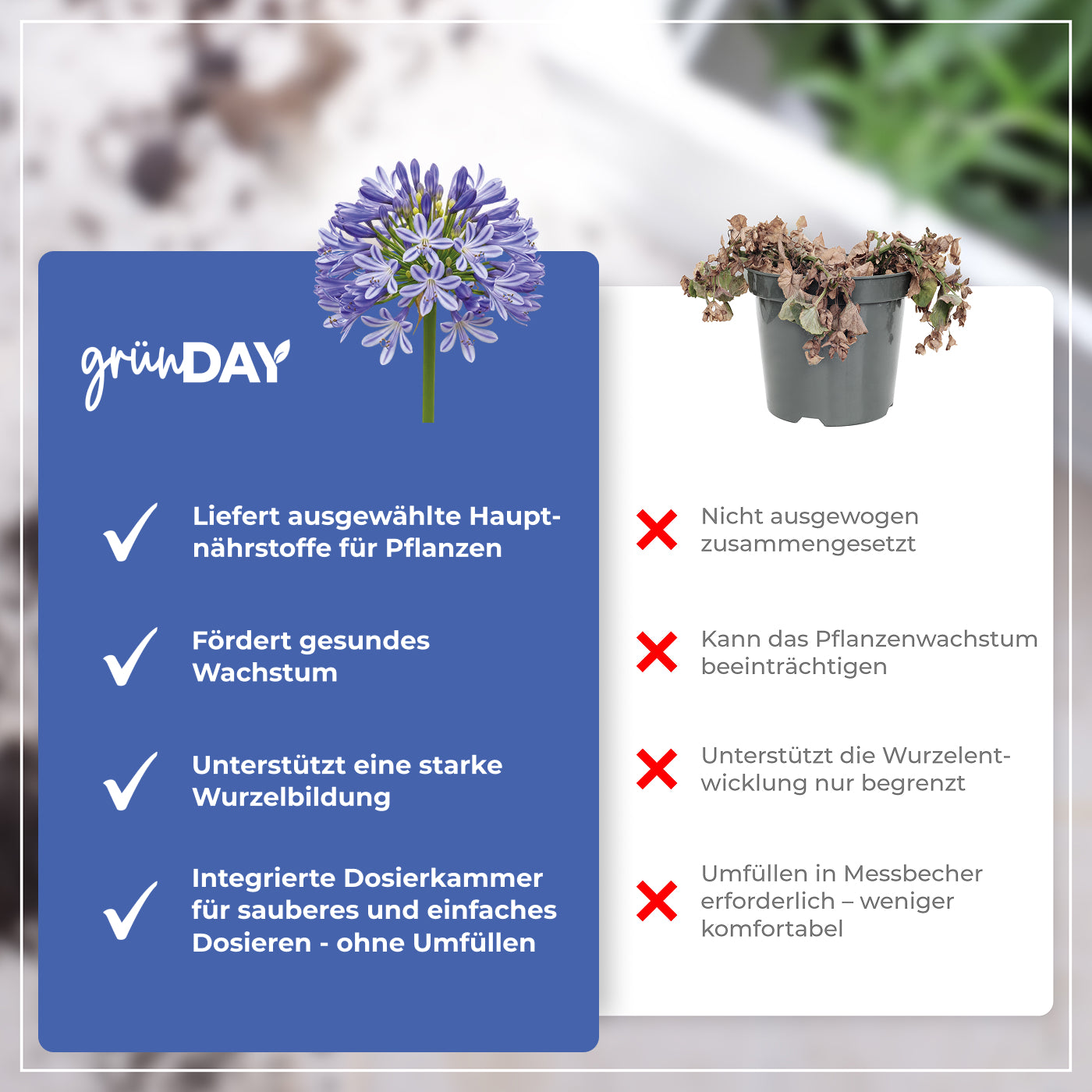 Gründay Agapanthusdünger – Produktansicht 6