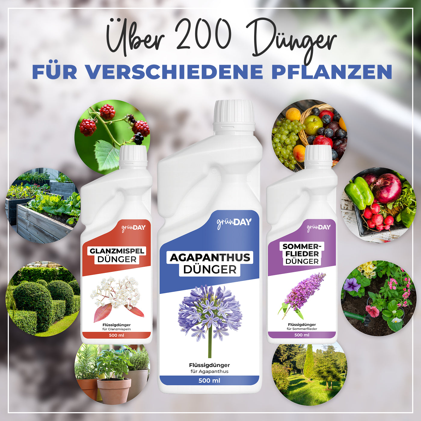 Gründay Agapanthusdünger – Produktansicht 7