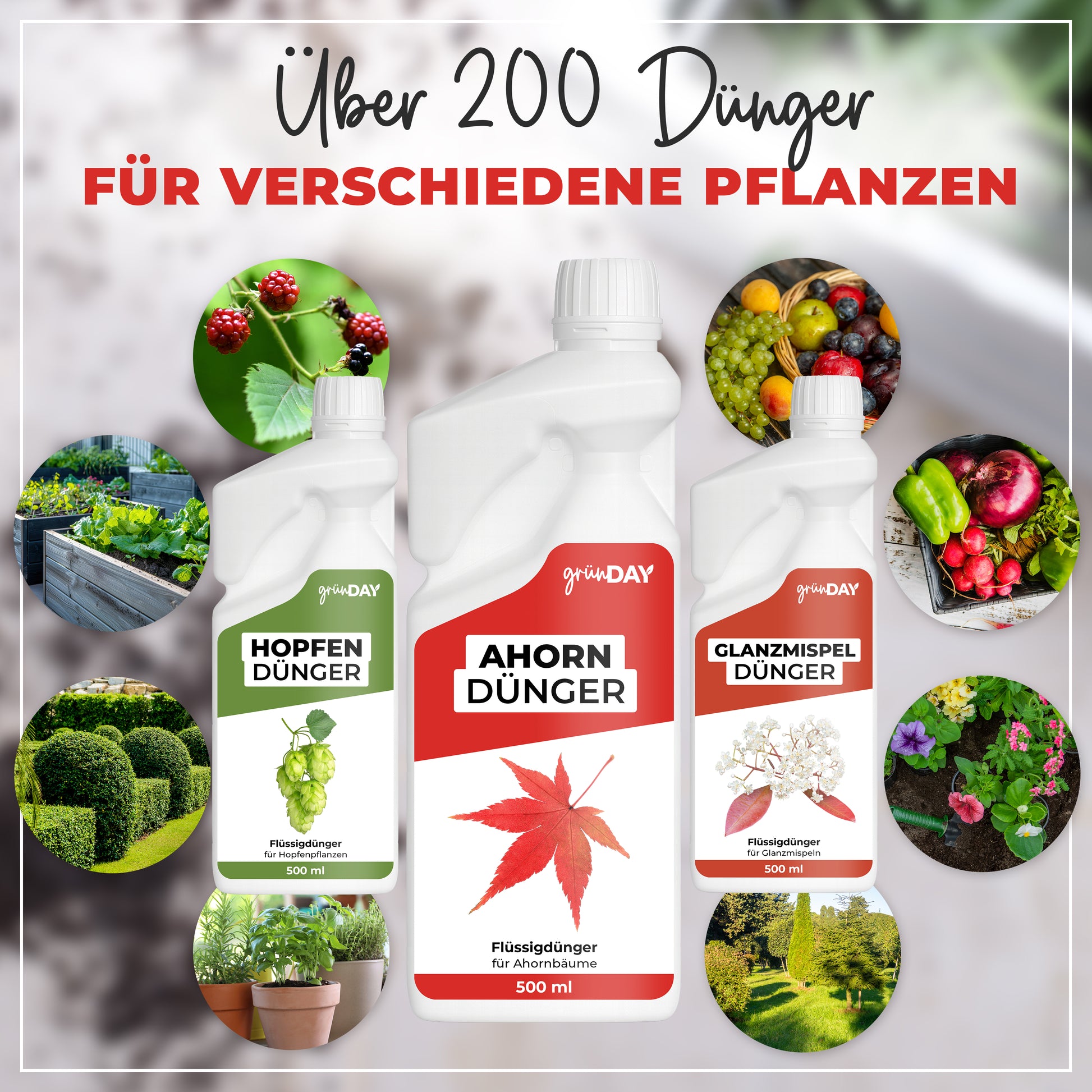 Gründay Ahorndünger – Produktansicht 7