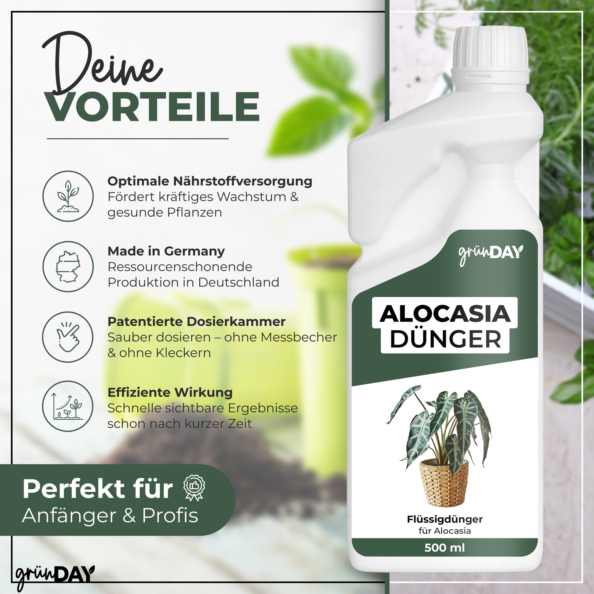 Gründay Alocasiadünger – Produktansicht 2