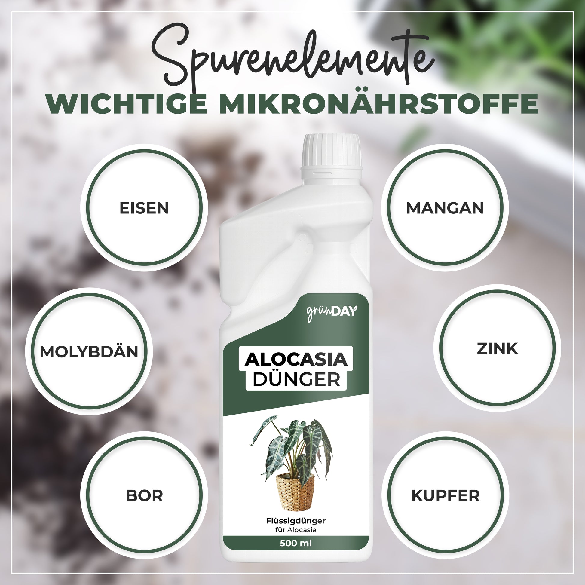 Gründay Alocasiadünger – Produktansicht 5