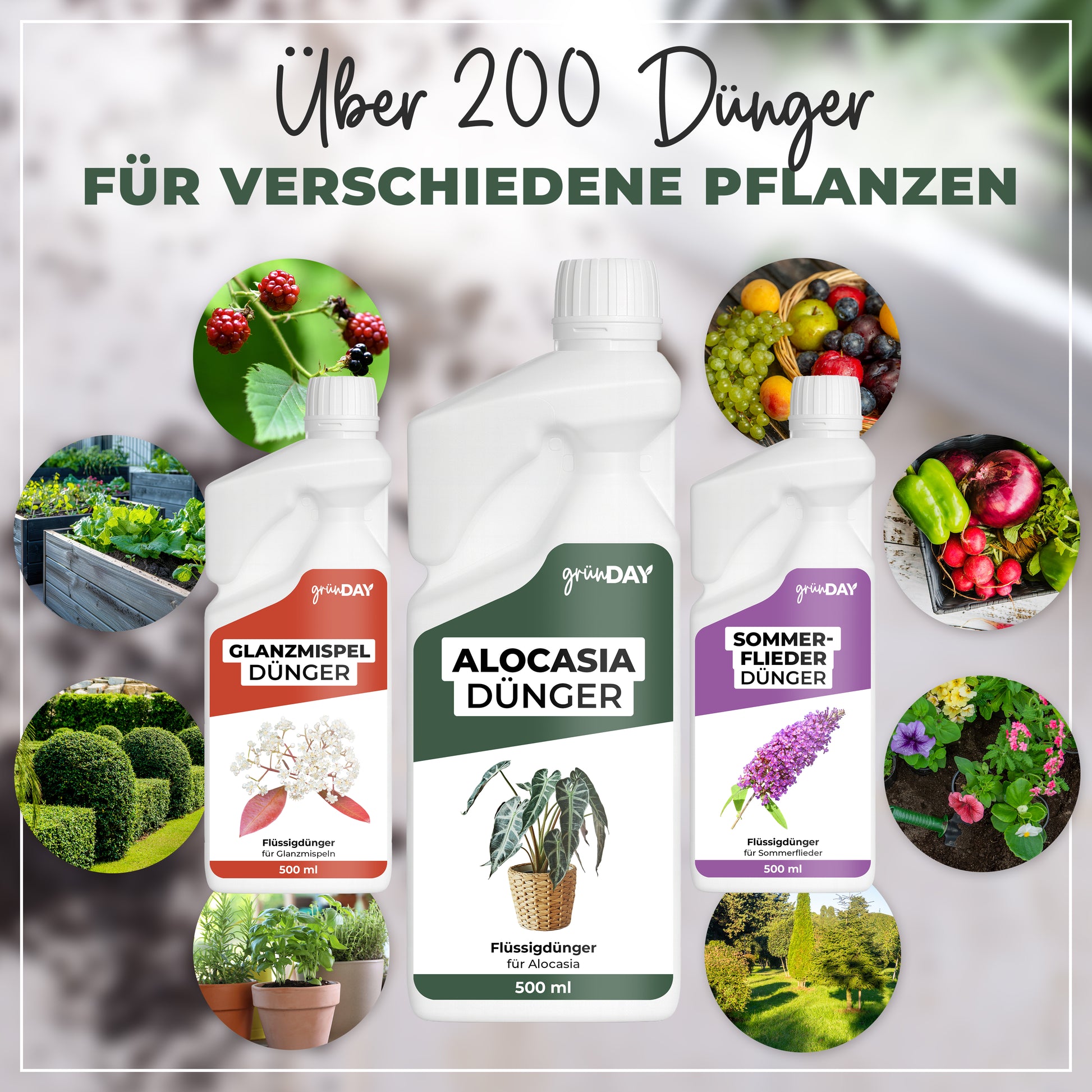 Gründay Alocasiadünger – Produktansicht 7