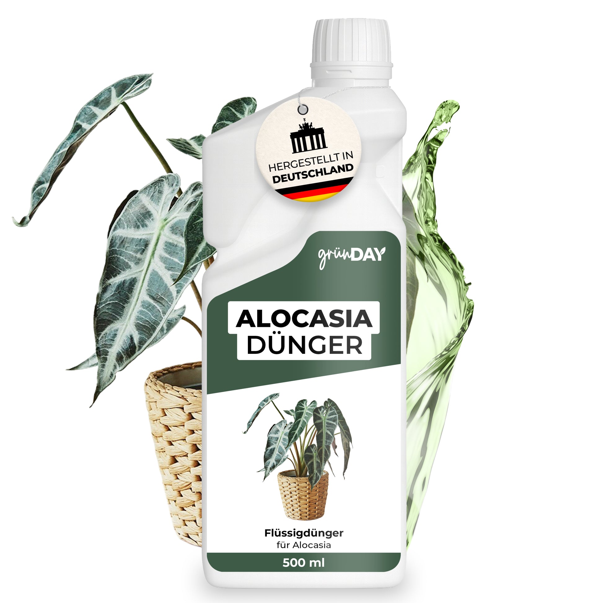 Gründay Alocasiadünger – Produktbild