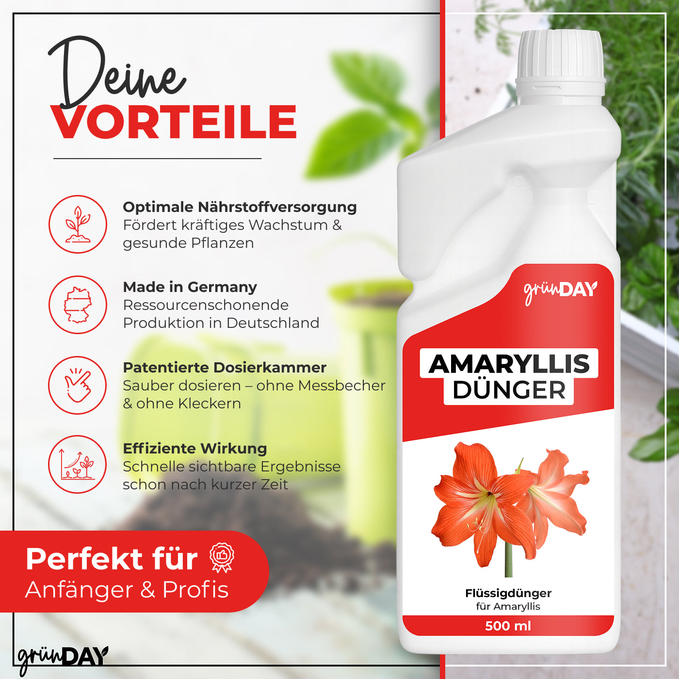 Gründay Amaryllis Dünger – Produktansicht 2