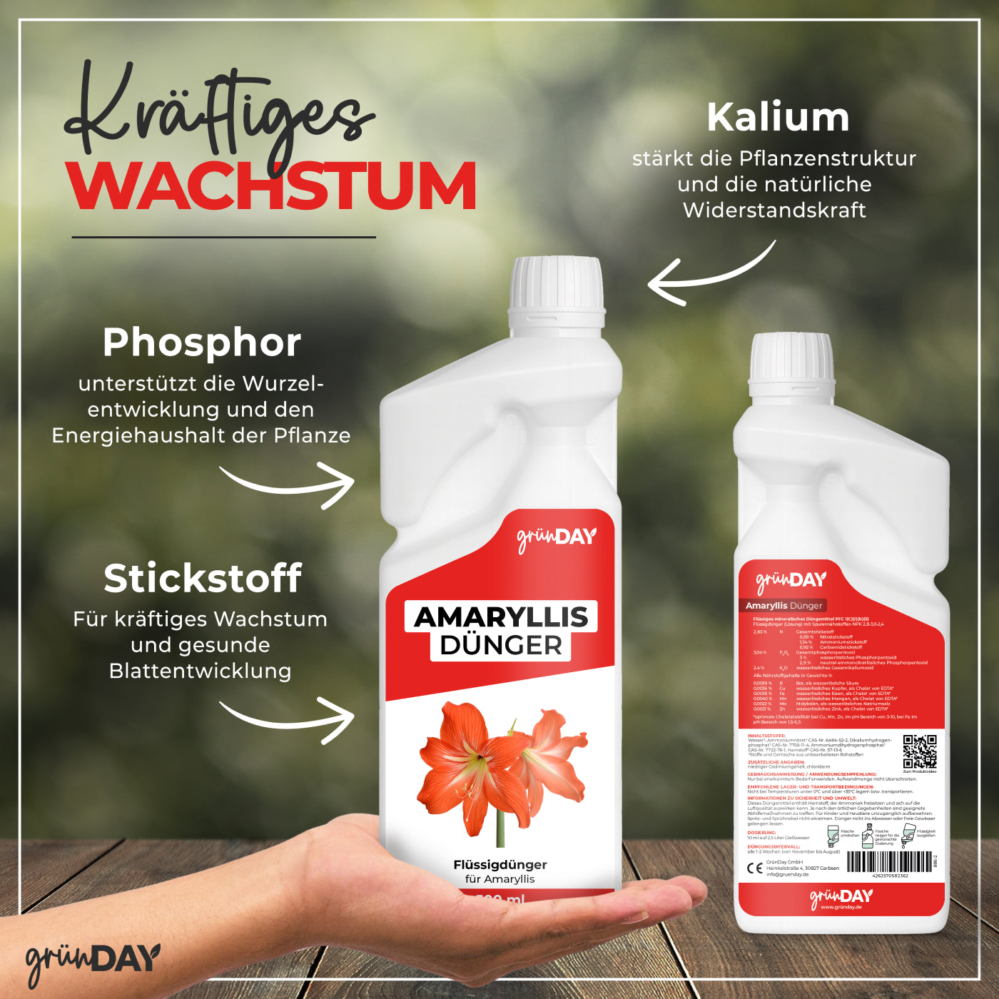 Gründay Amaryllis Dünger – Produktansicht 4