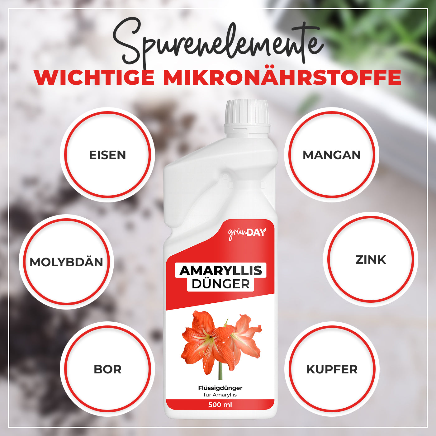 Gründay Amaryllis Dünger – Produktansicht 5