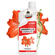 Gründay Amaryllis Dünger – Produktbild
