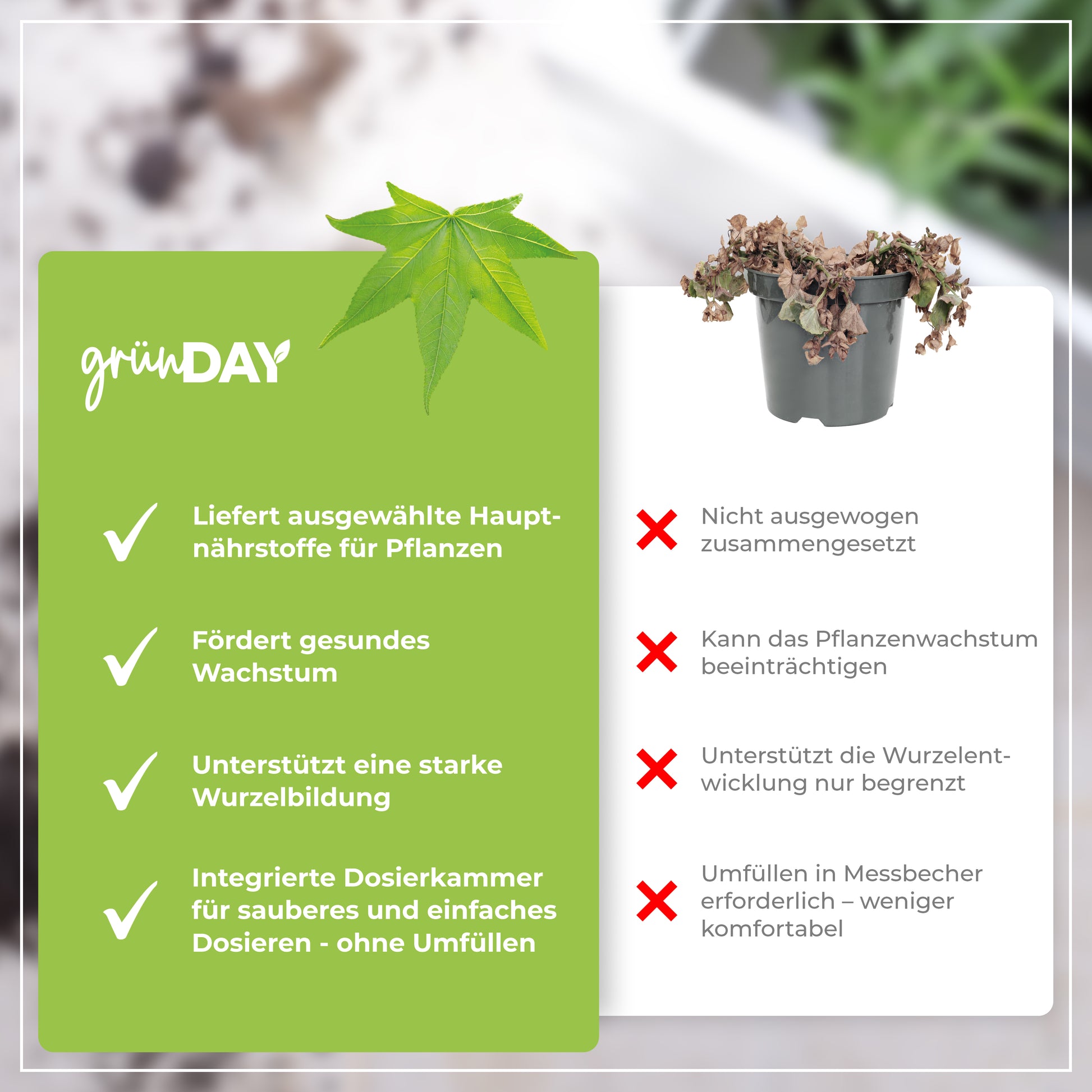 Gründay Amberbaumdünger – Produktansicht 6