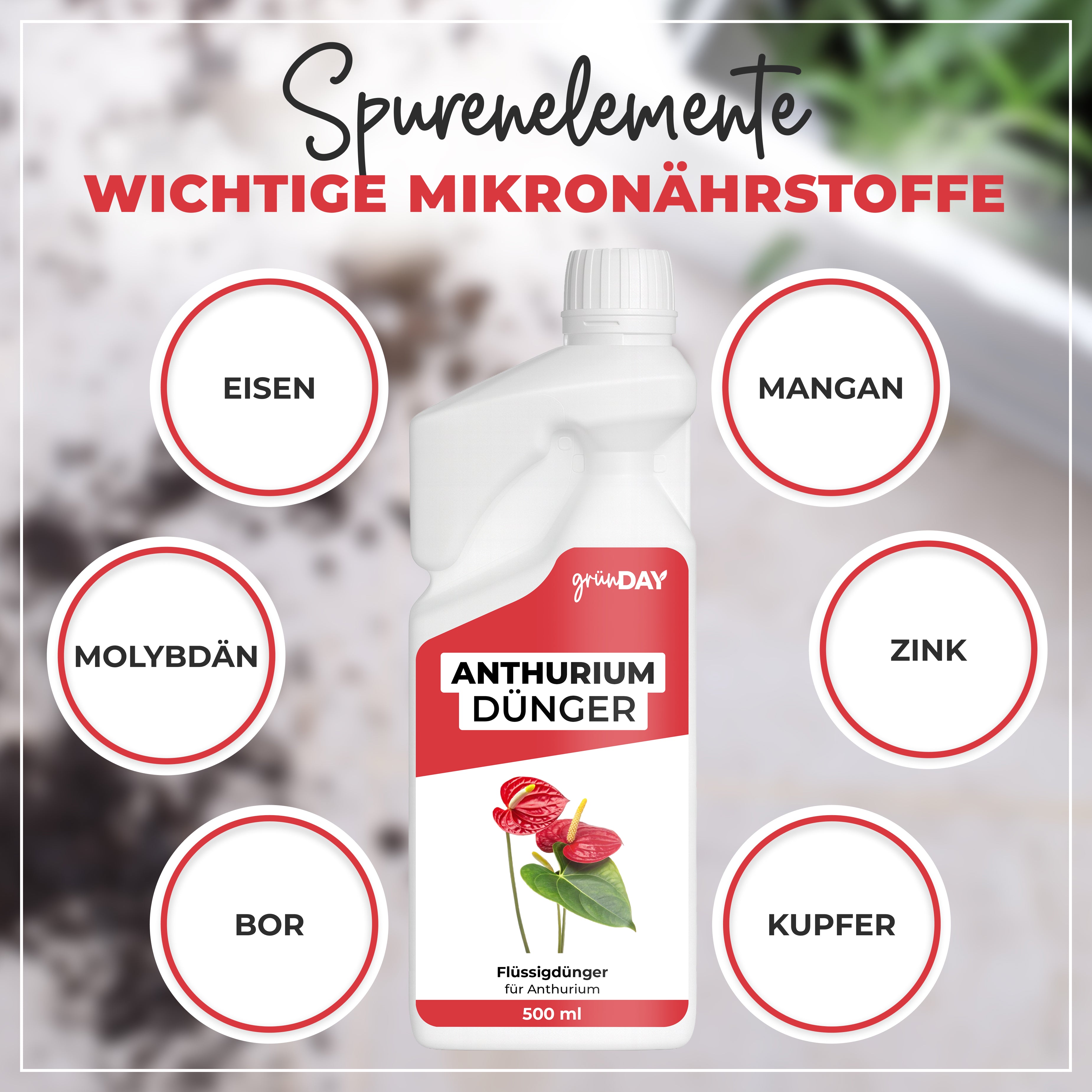 Gründay Anthurium Dünger – Produktansicht 5