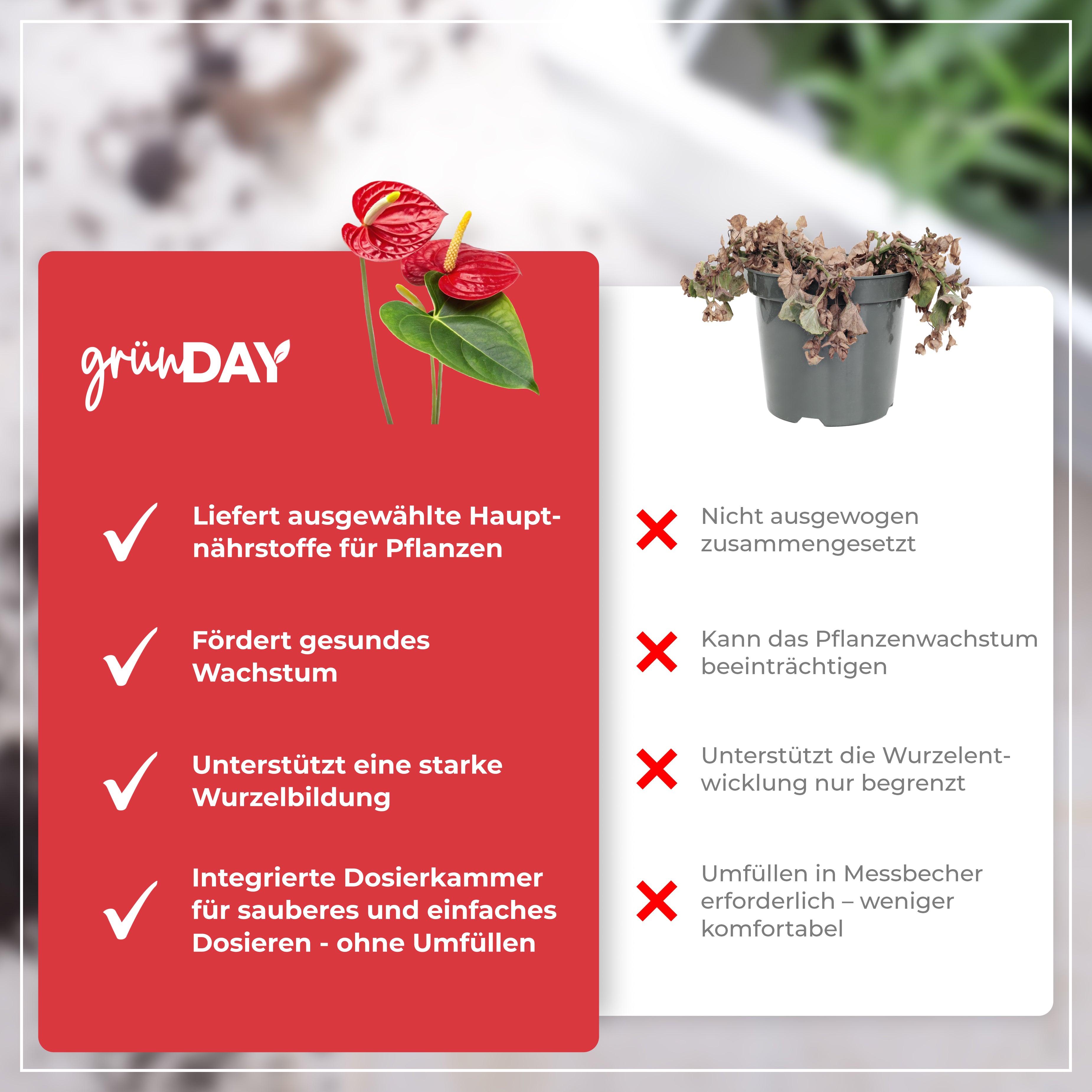 Gründay Anthurium Dünger – Produktansicht 6