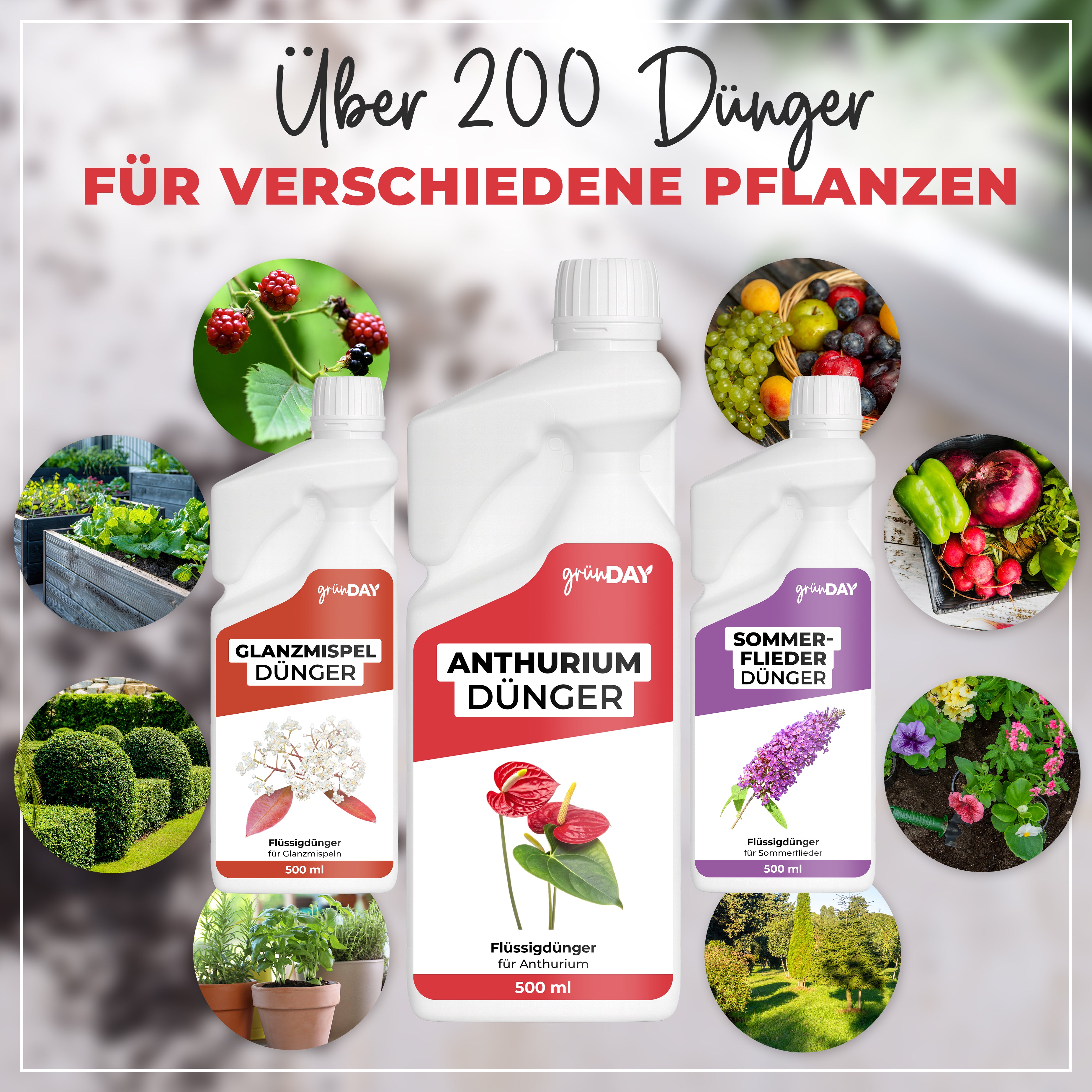 Gründay Anthurium Dünger – Produktansicht 7