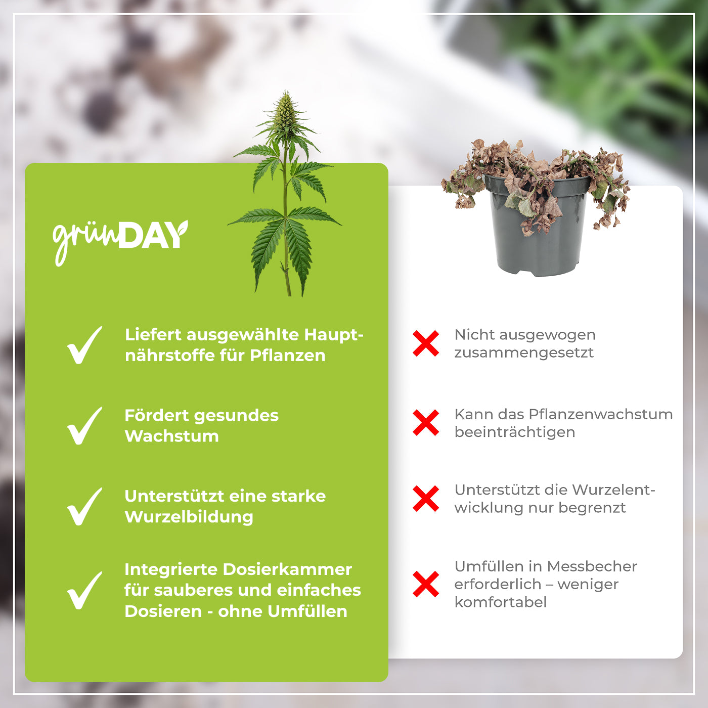 Gründay Autoflower-Grow-Dünger – Produktansicht 6