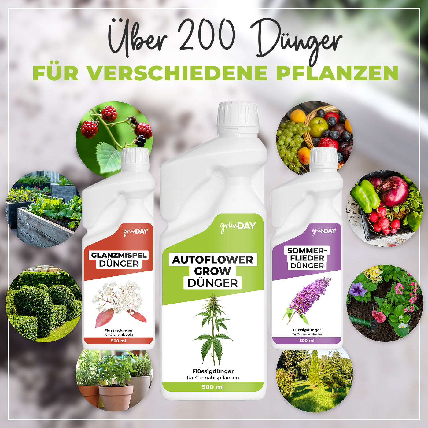 Gründay Autoflower-Grow-Dünger – Produktansicht 7