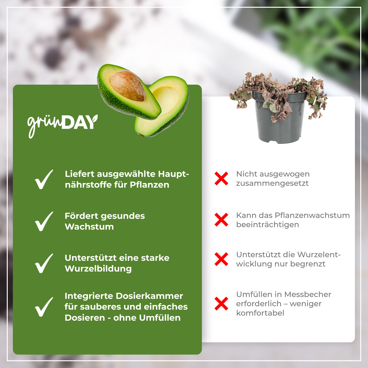 Gründay Avocadodünger – Produktansicht 6