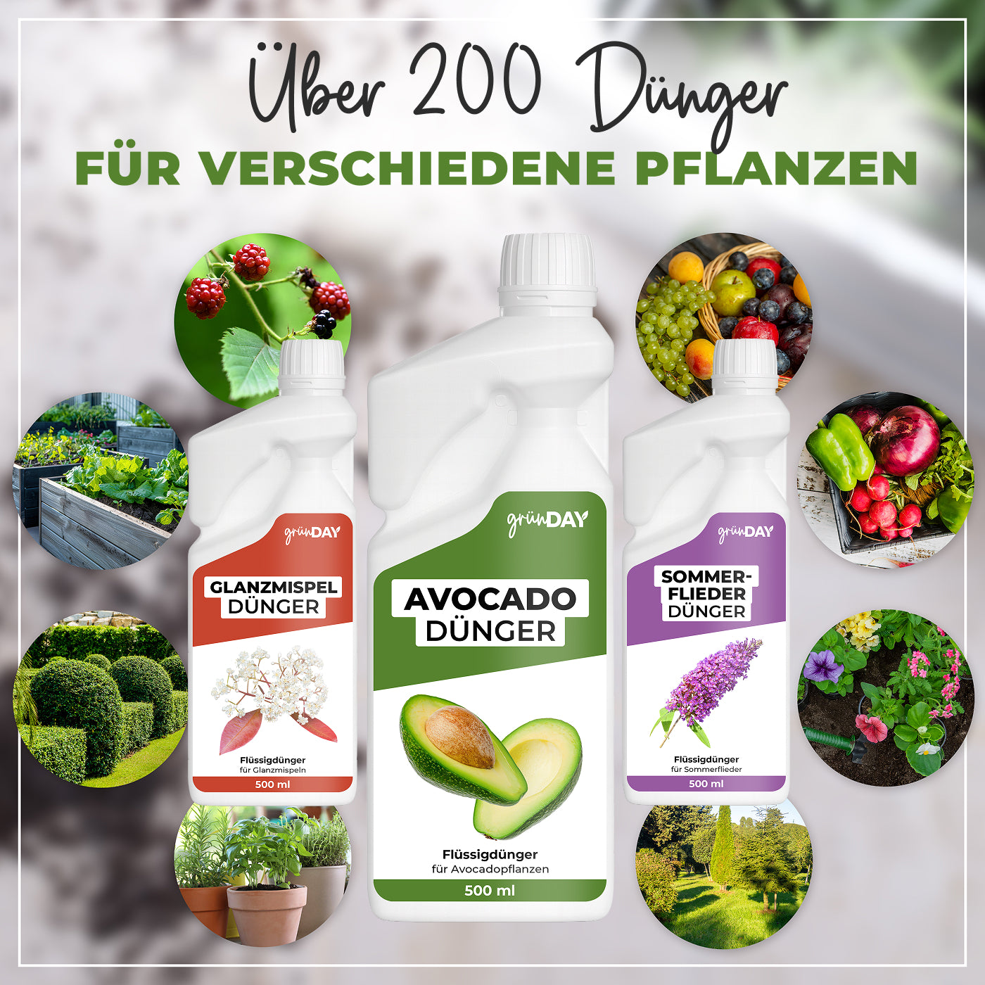 Gründay Avocadodünger – Produktansicht 7