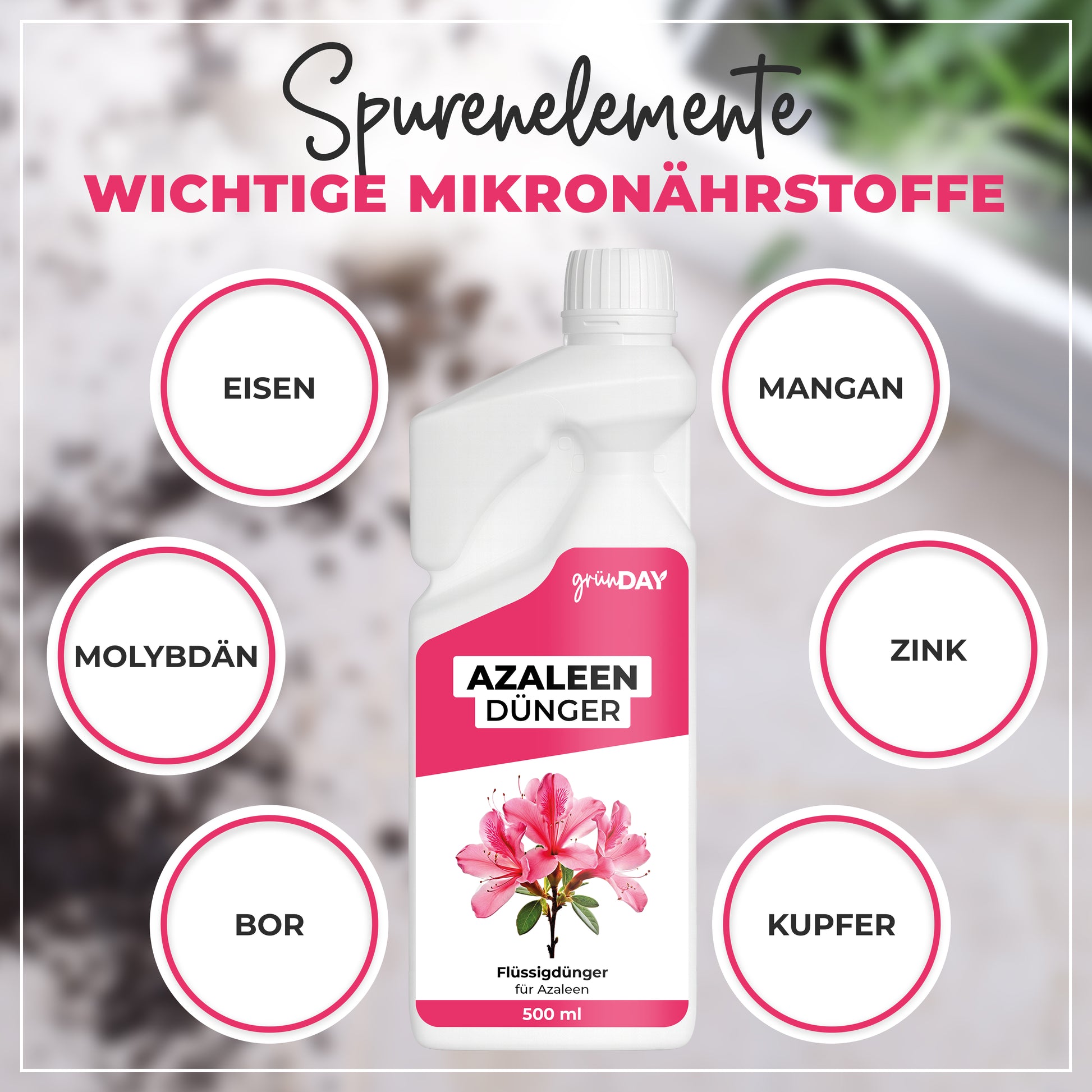 Gründay Azaleendünger – Produktansicht 5