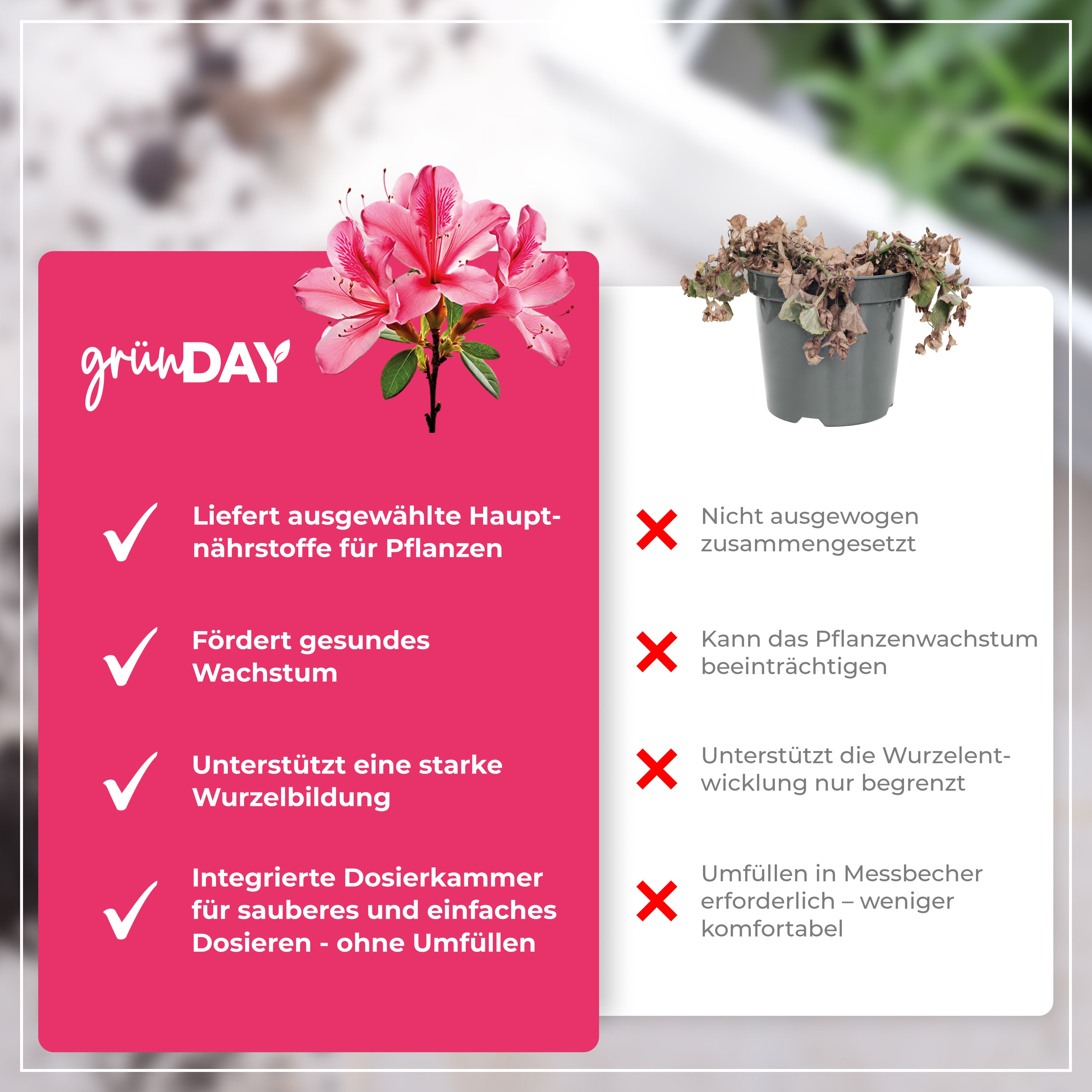 Gründay Azaleendünger – Produktansicht 6