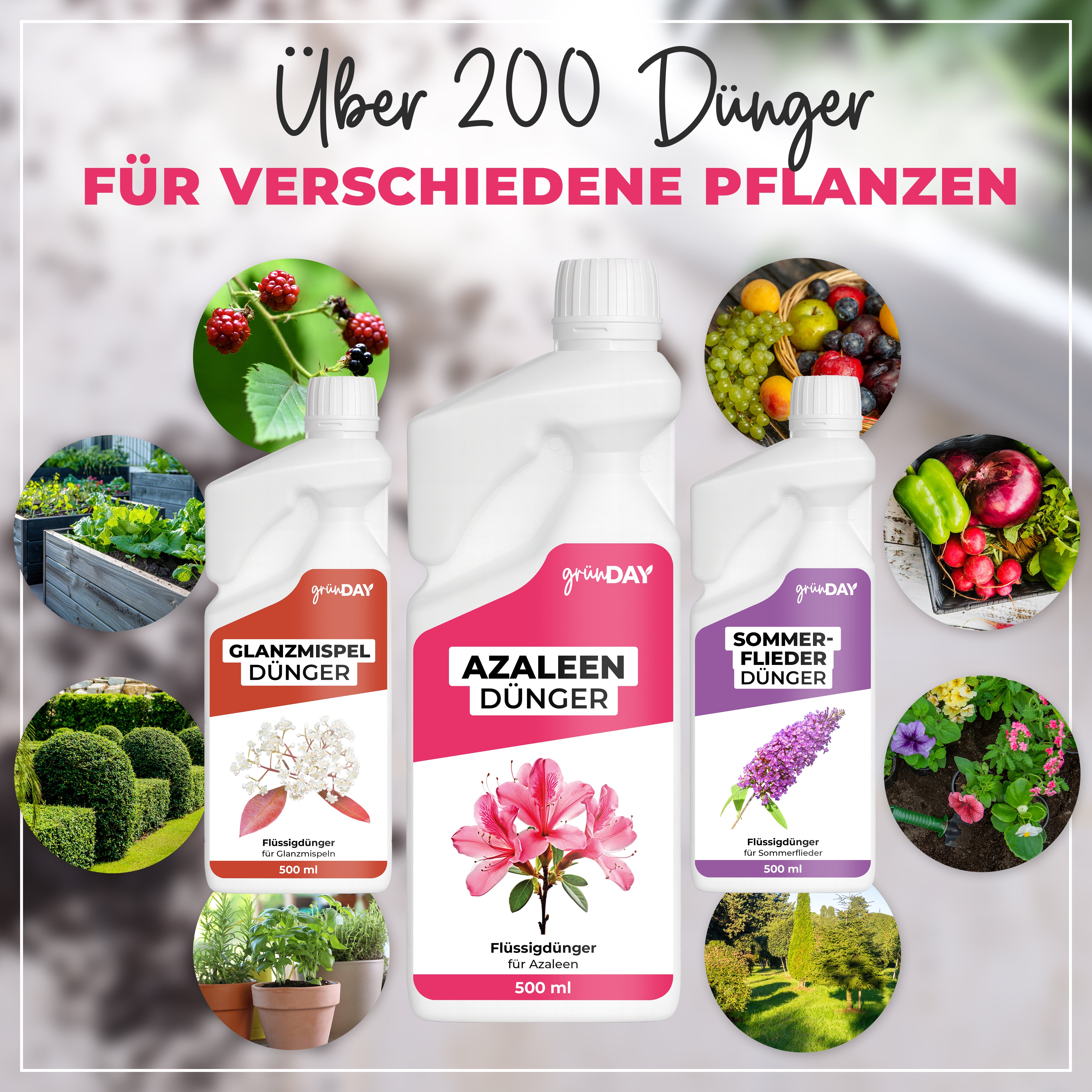 Gründay Azaleendünger – Produktansicht 7
