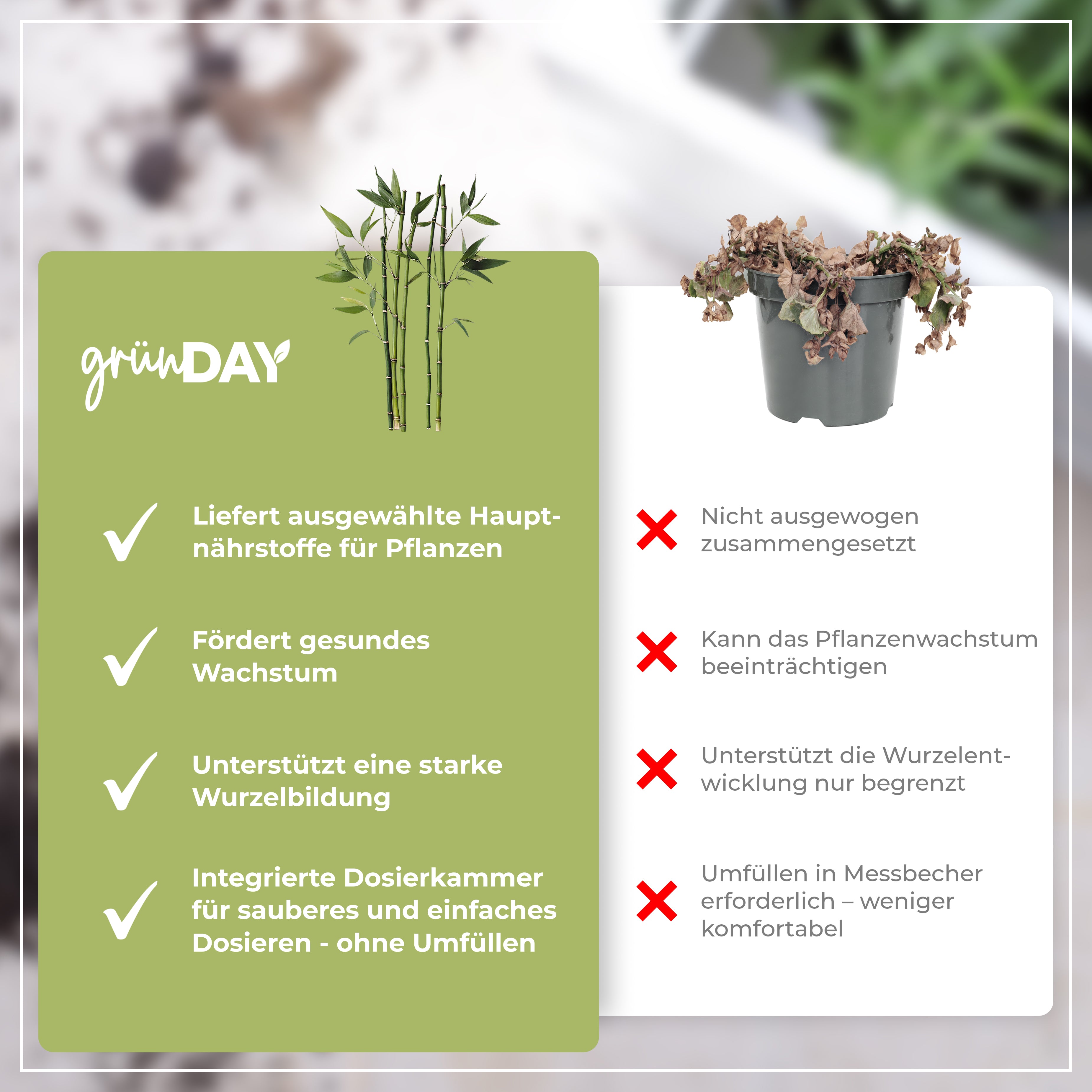 Gründay Bambusdünger – Produktansicht 6