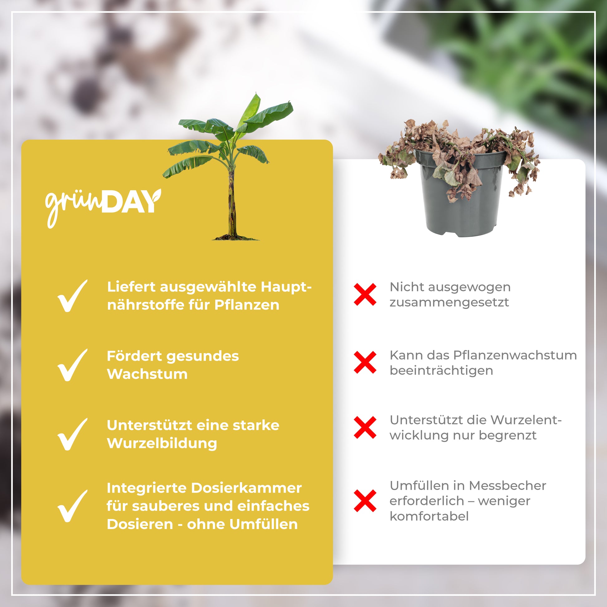 Gründay Bananendünger – Produktansicht 6