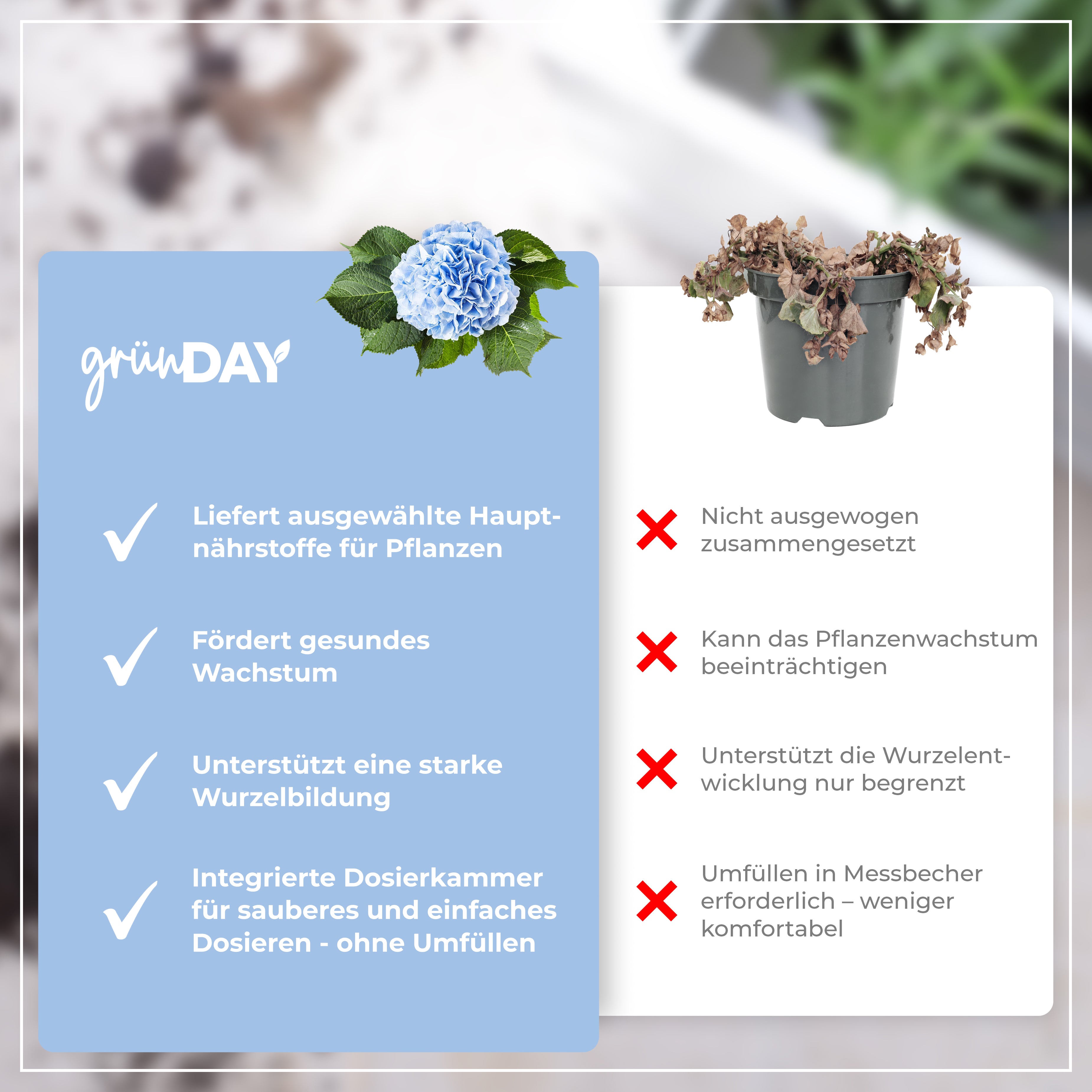 Gründay Bauernhortensie Dünger – Produktansicht 6