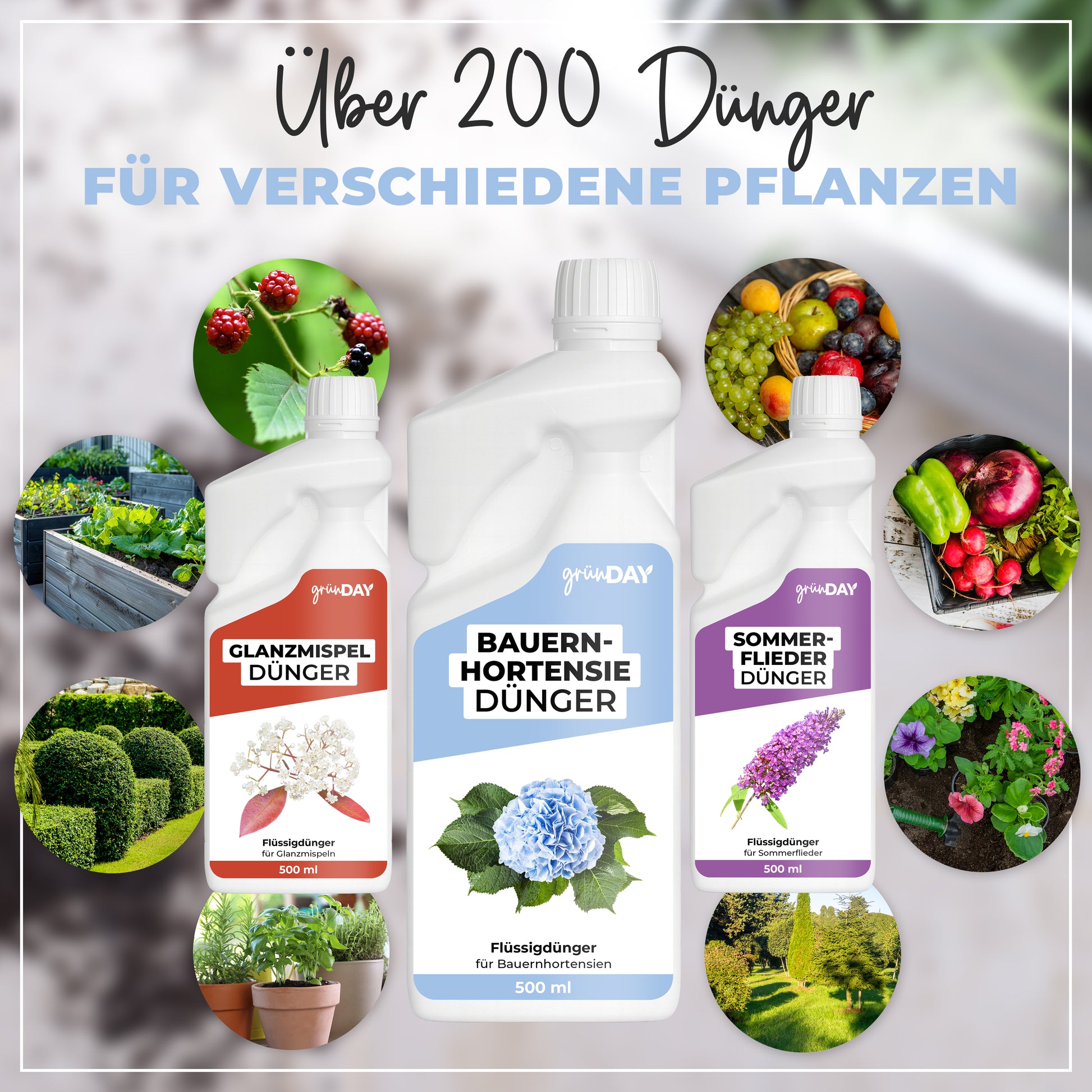 Gründay Bauernhortensie Dünger – Produktansicht 7