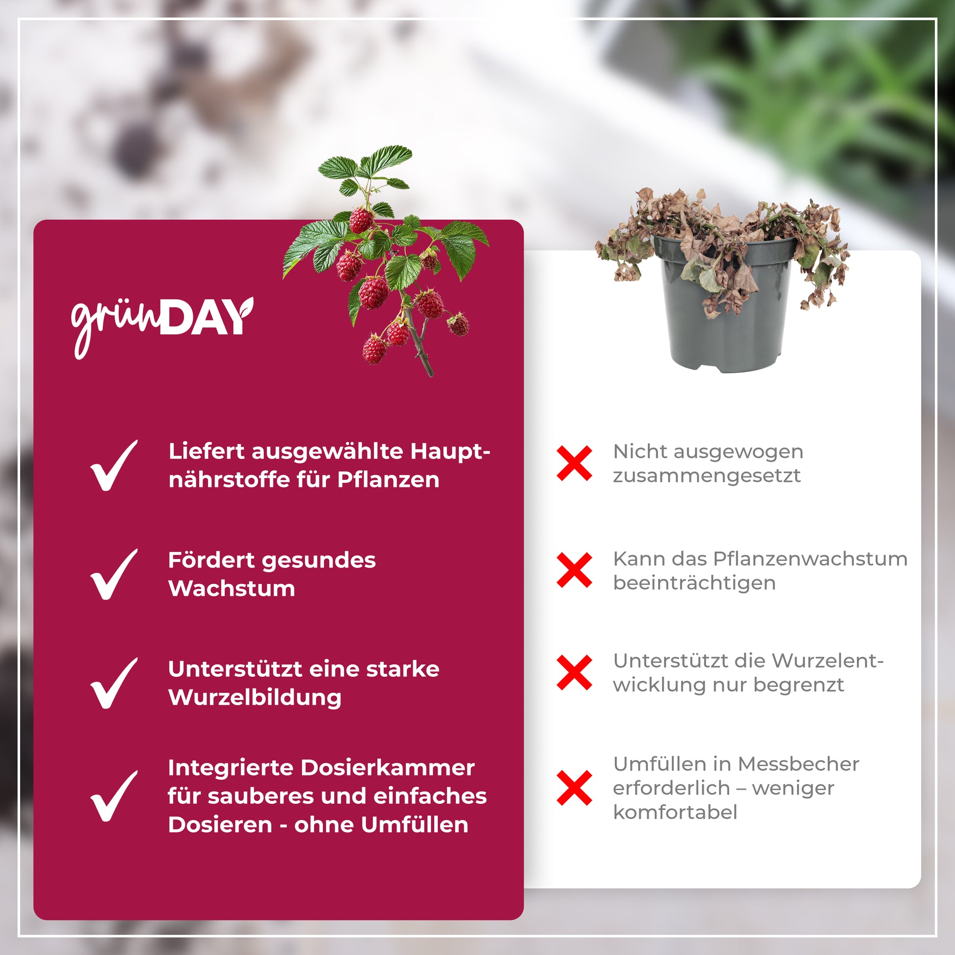 Gründay Beerendünger – Produktansicht 6