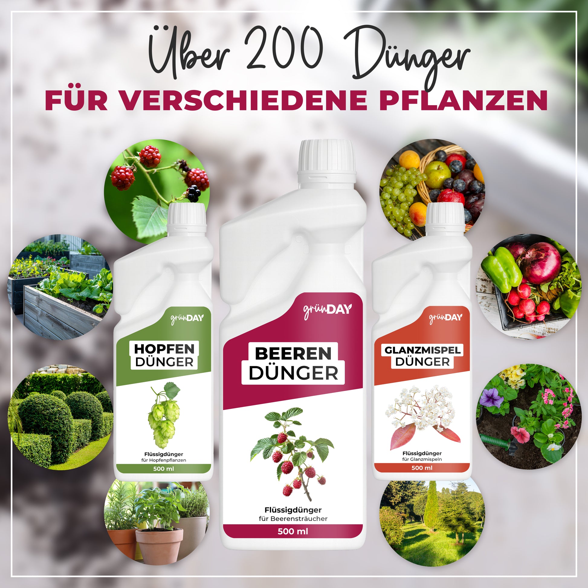 Gründay Beerendünger – Produktansicht 7