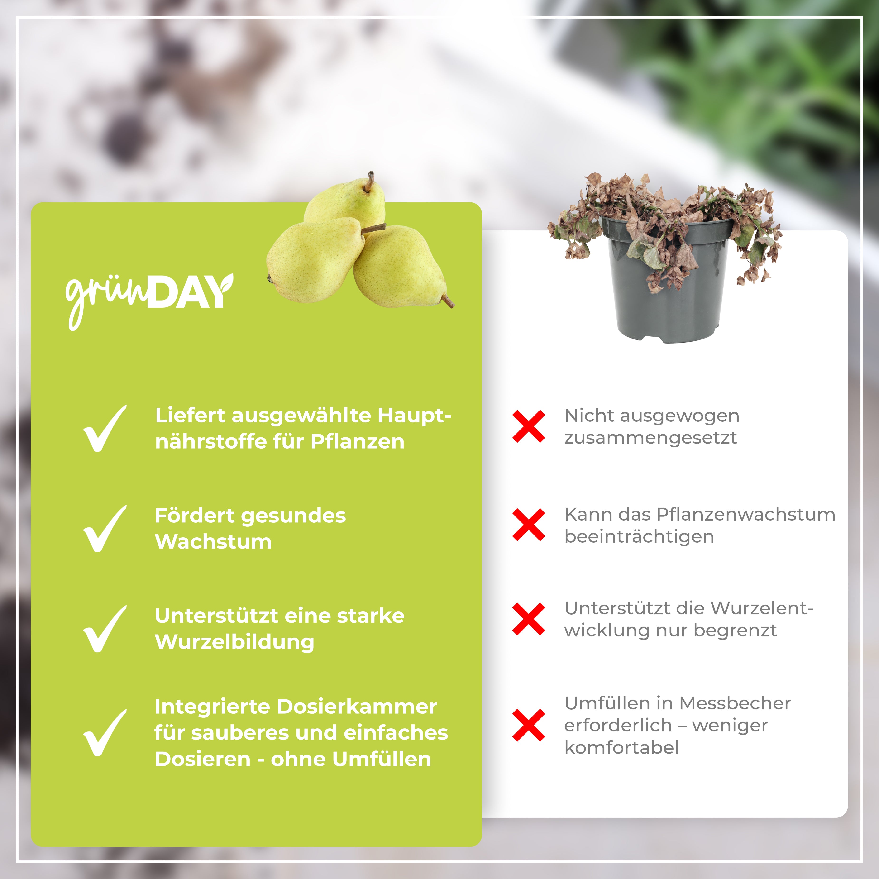 Gründay Birnbaumdünger – Produktansicht 6