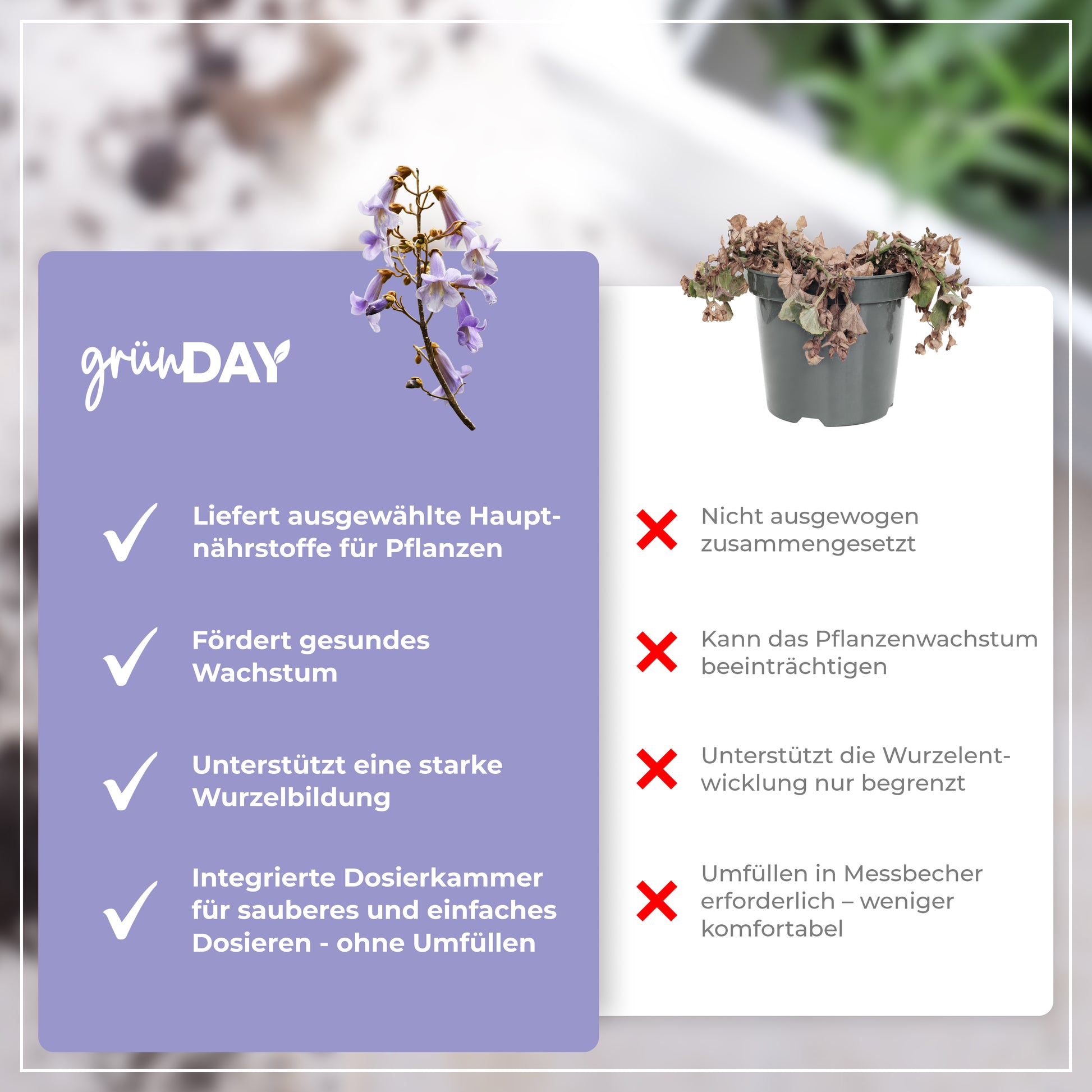 Gründay Blauglockenbaum Dünger – Produktansicht 6