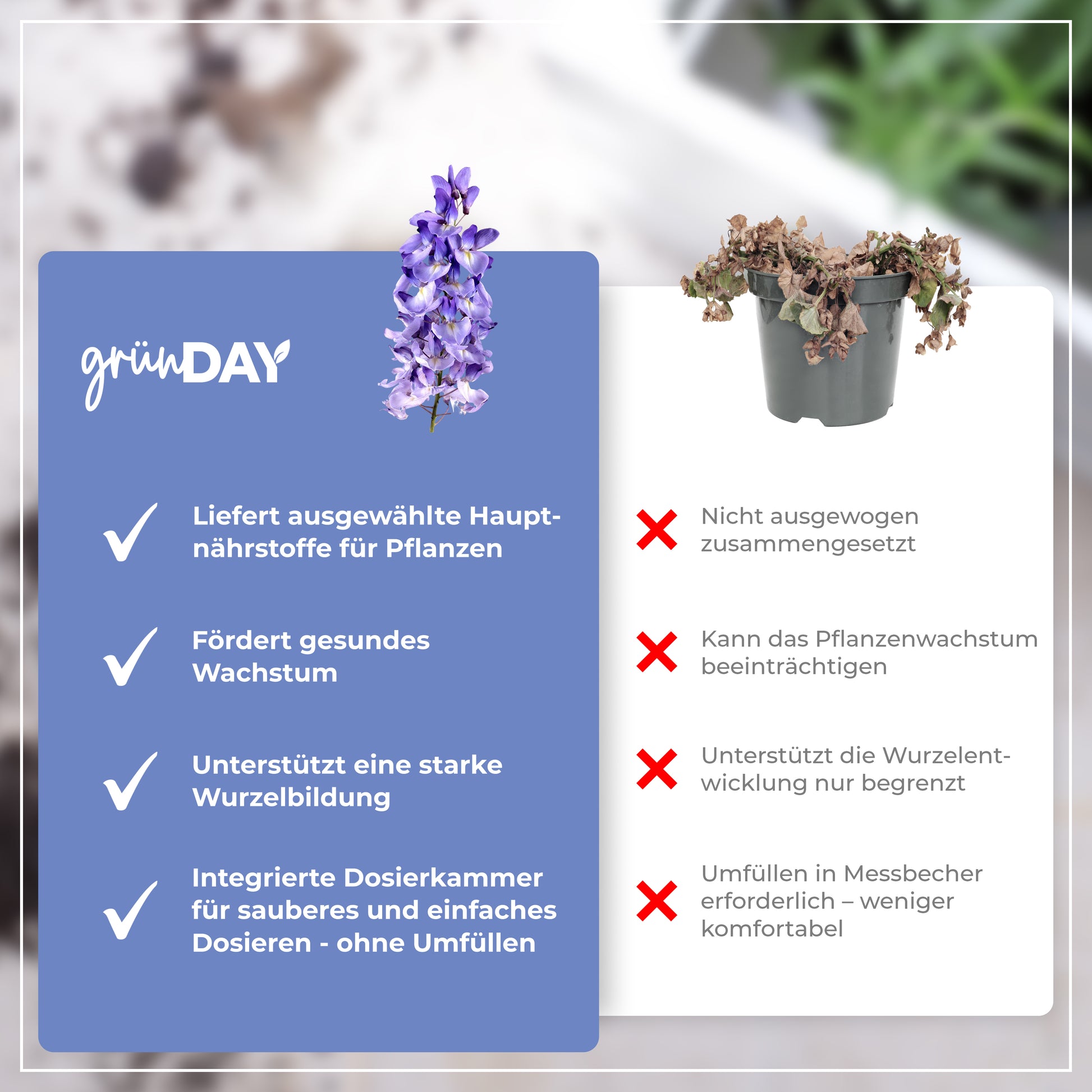 Gründay Blauregendünger – Produktansicht 6