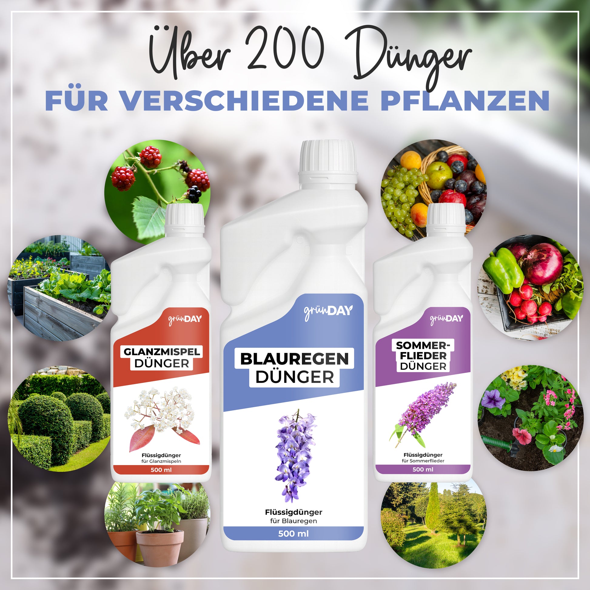 Gründay Blauregendünger – Produktansicht 7