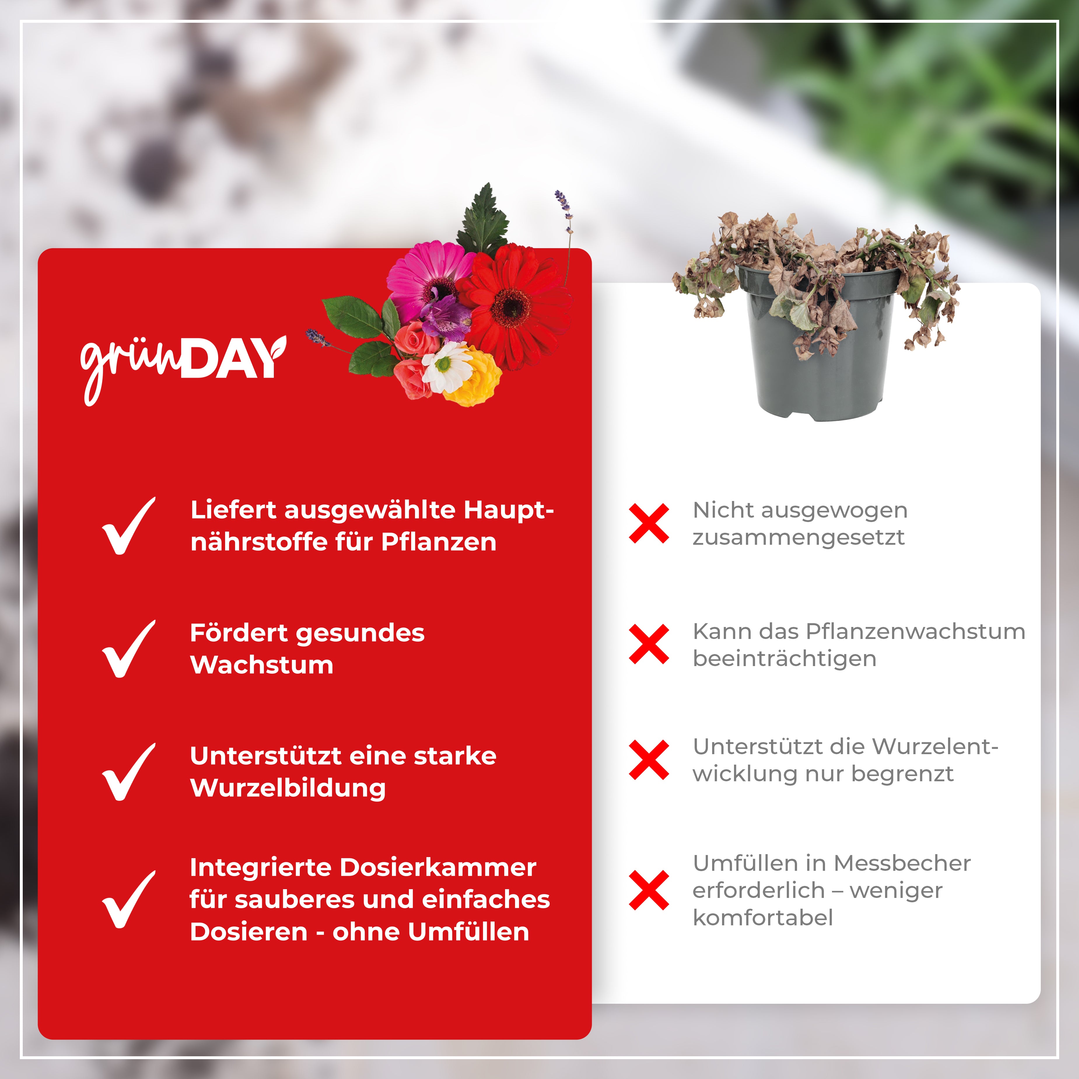 Gründay Blumendünger – Produktansicht 6