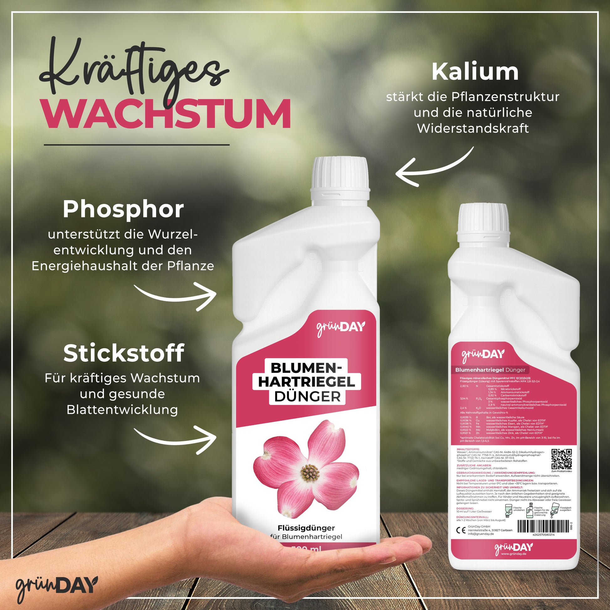 Gründay Blumenhartriegeldünger – Produktansicht 4