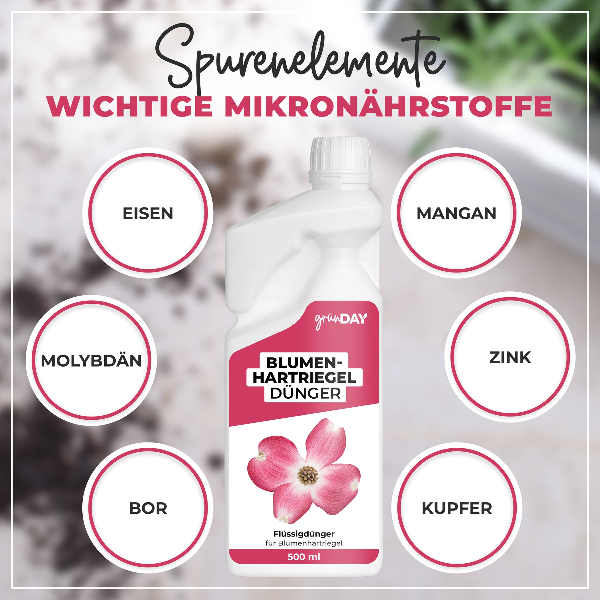 Gründay Blumenhartriegeldünger – Produktansicht 5