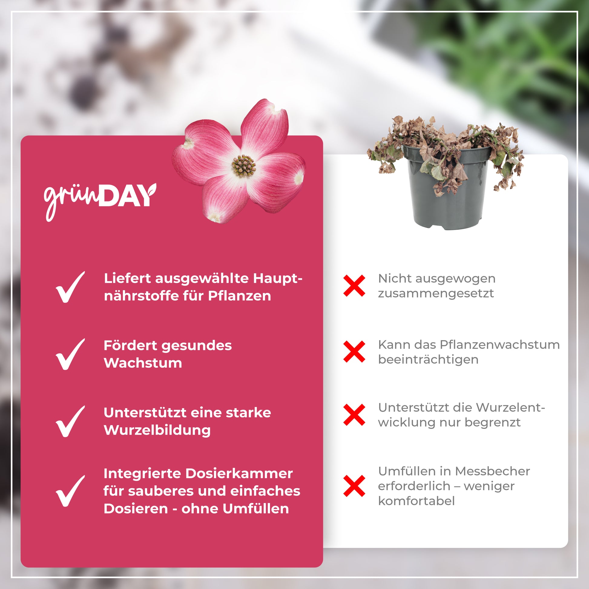 Gründay Blumenhartriegeldünger – Produktansicht 6
