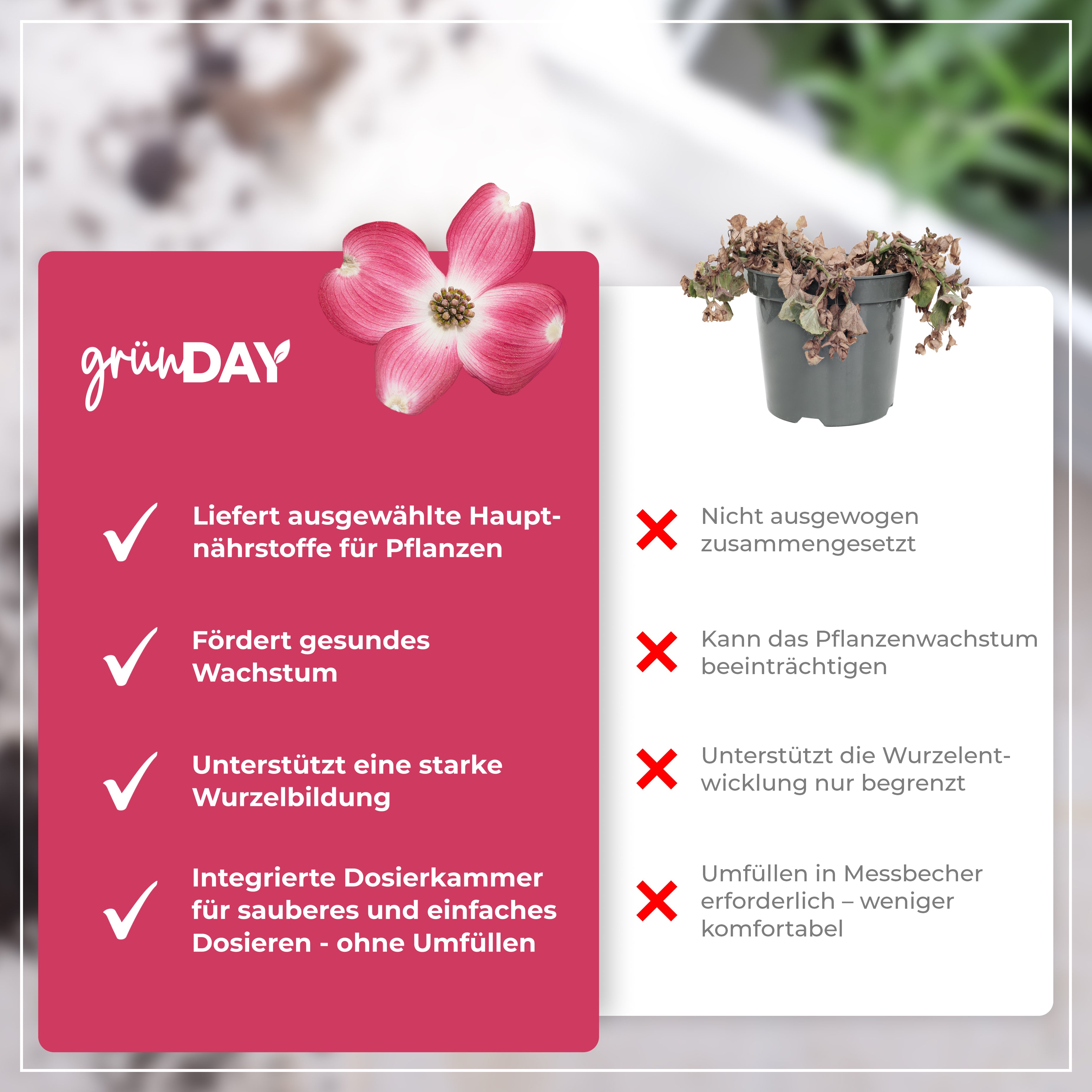 Gründay Blumenhartriegeldünger – Produktansicht 6
