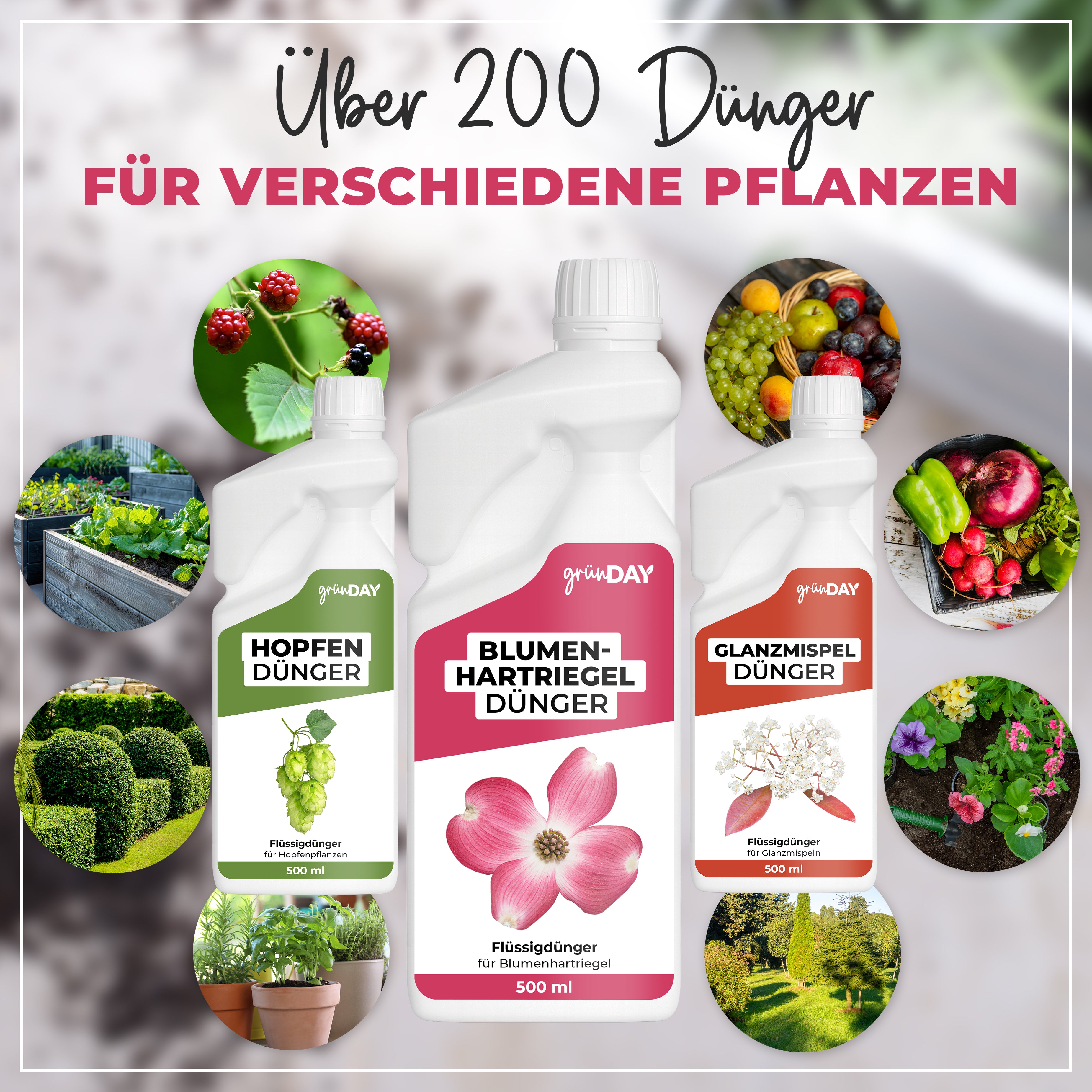 Gründay Blumenhartriegeldünger – Produktansicht 7