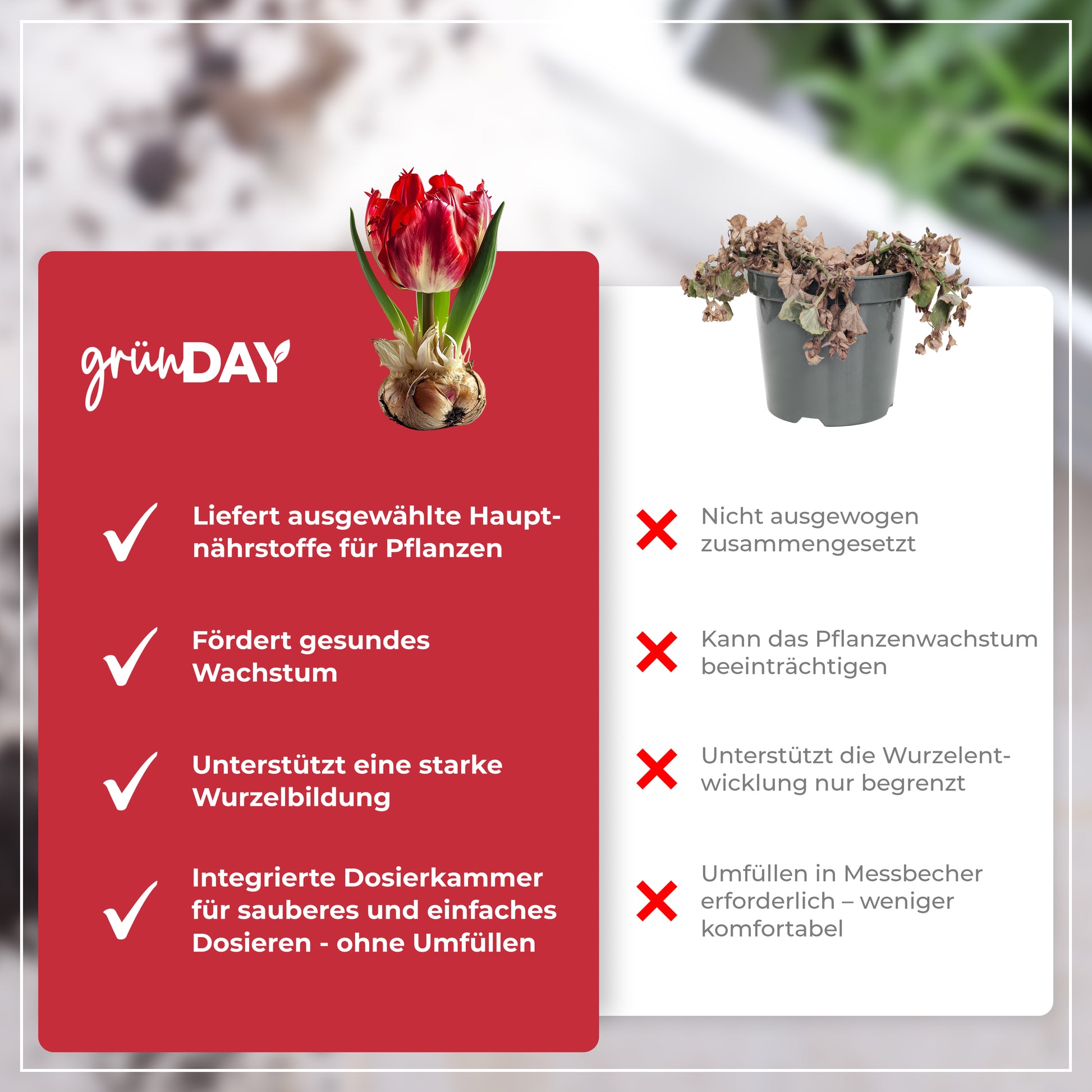 Gründay Blumenzwiebel Dünger – Produktansicht 6