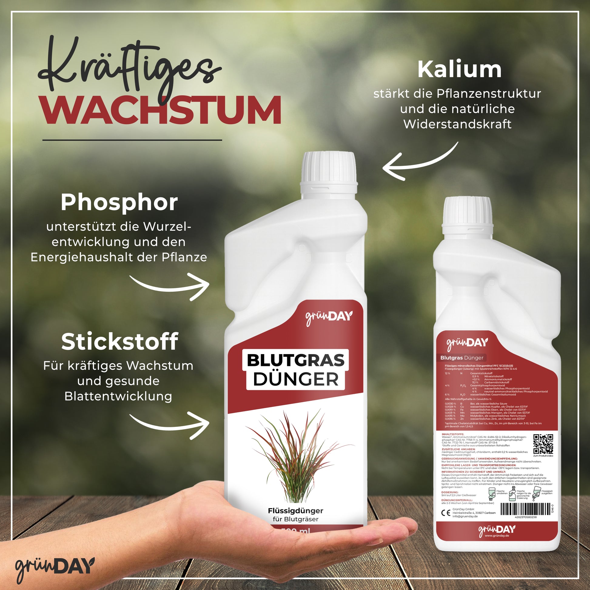 Gründay Blutgrasdünger – Produktansicht 4