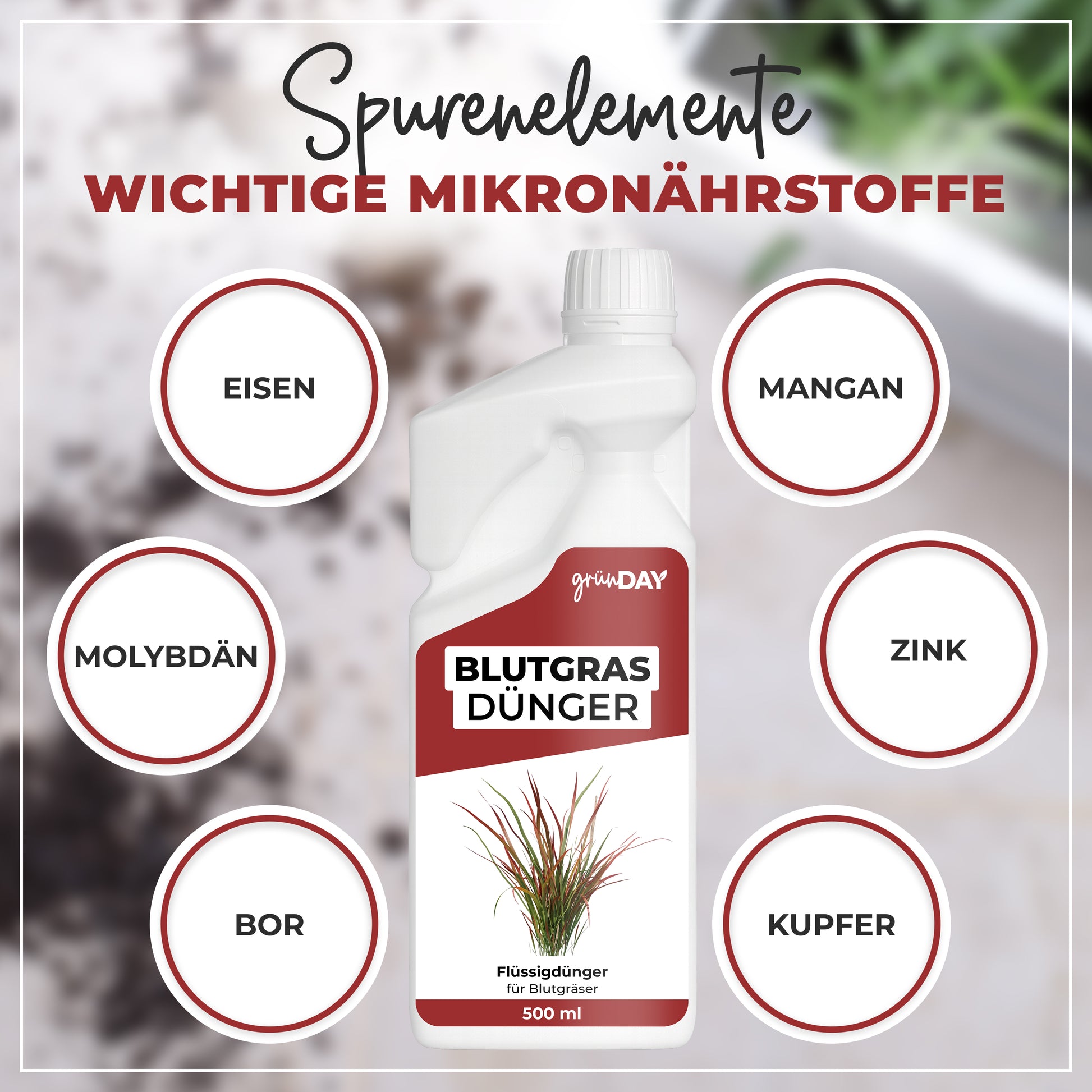 Gründay Blutgrasdünger – Produktansicht 5
