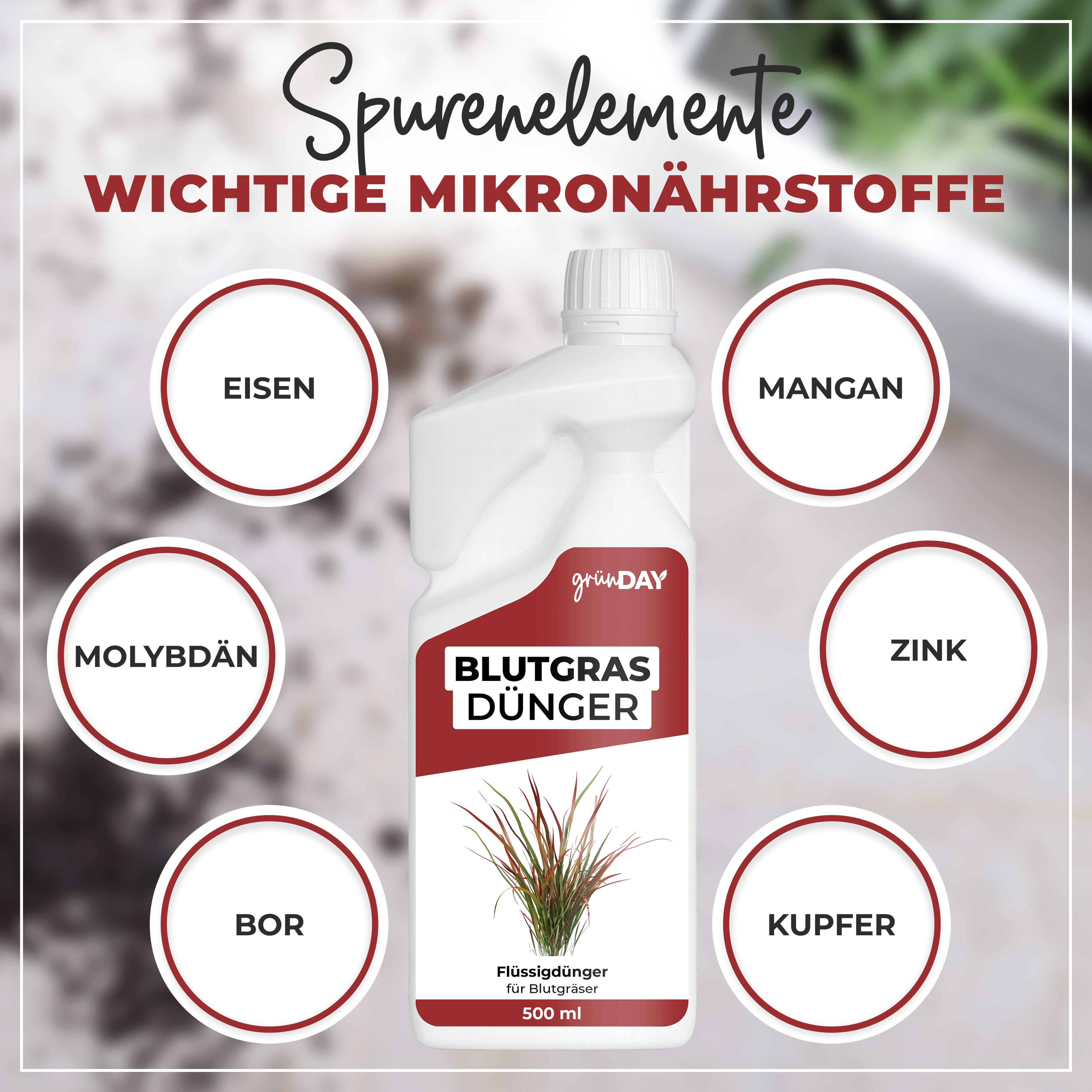 Gründay Blutgrasdünger – Produktansicht 5