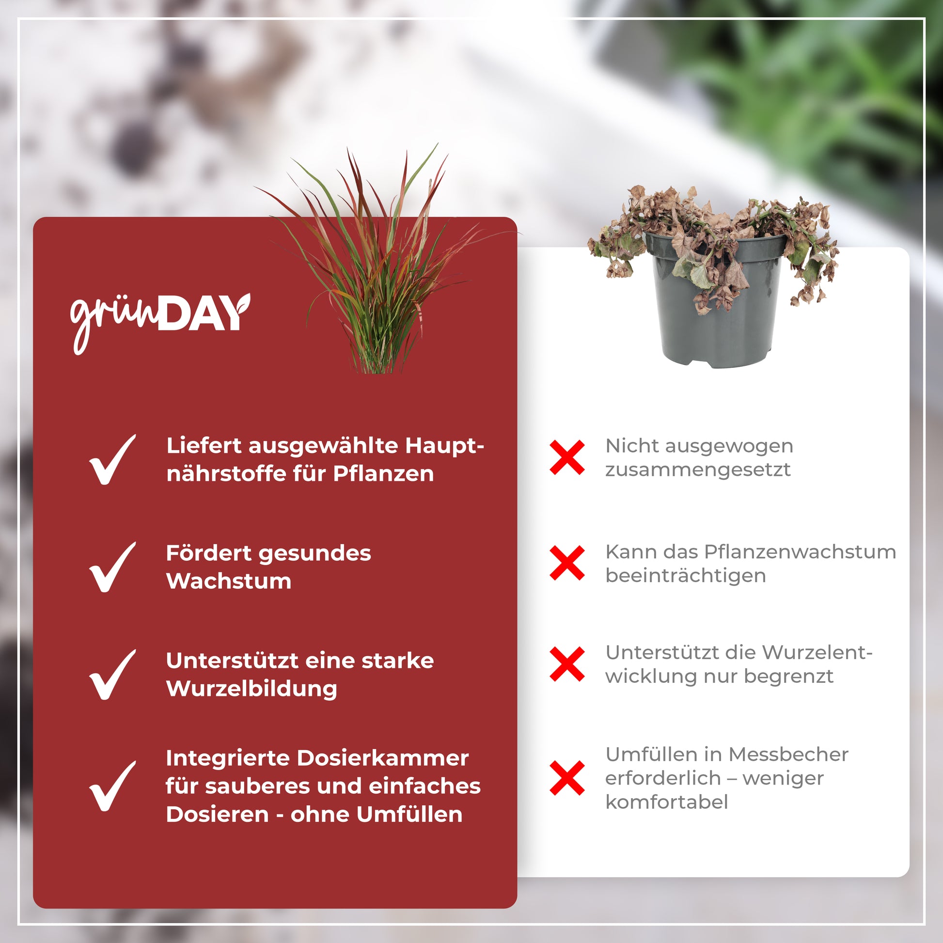 Gründay Blutgrasdünger – Produktansicht 6