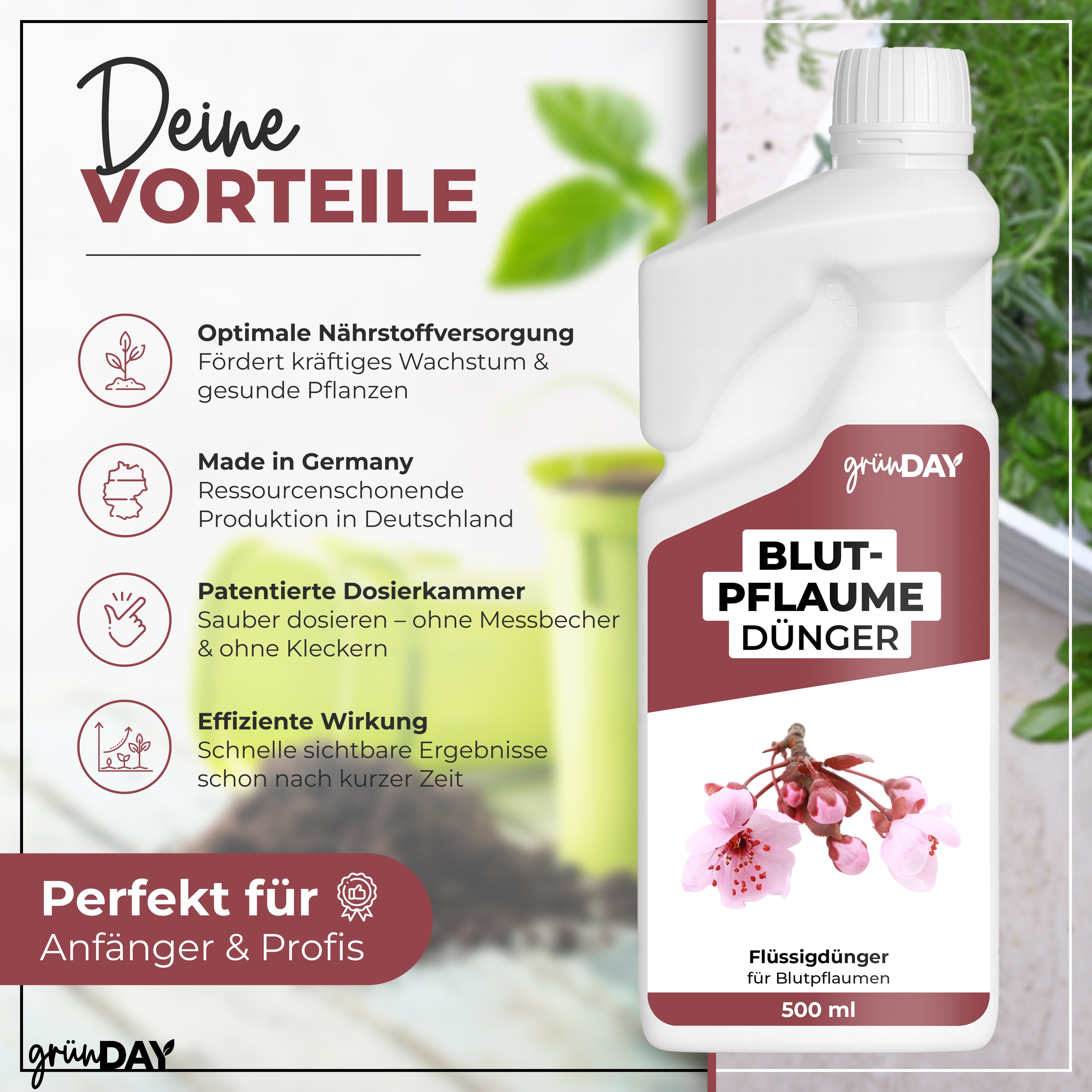 Gründay Blutpflaume Dünger – Produktansicht 2