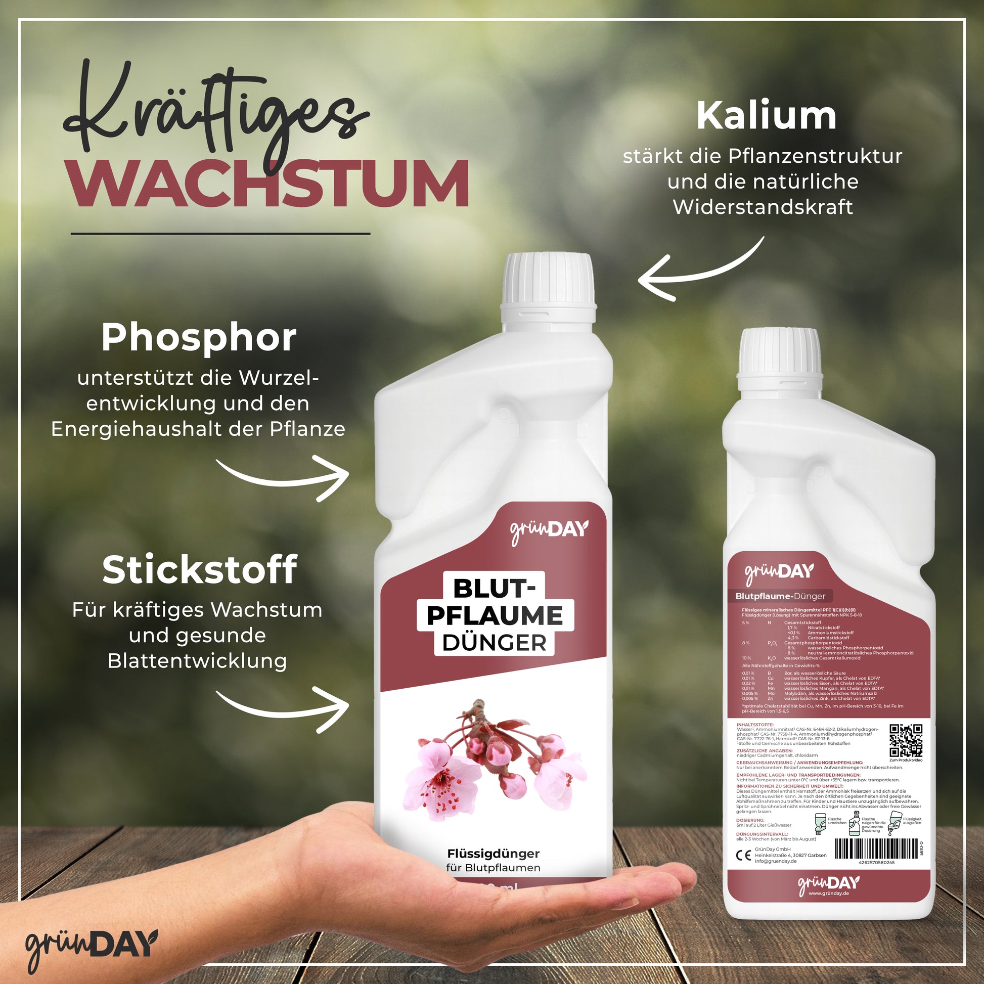 Gründay Blutpflaume Dünger – Produktansicht 4