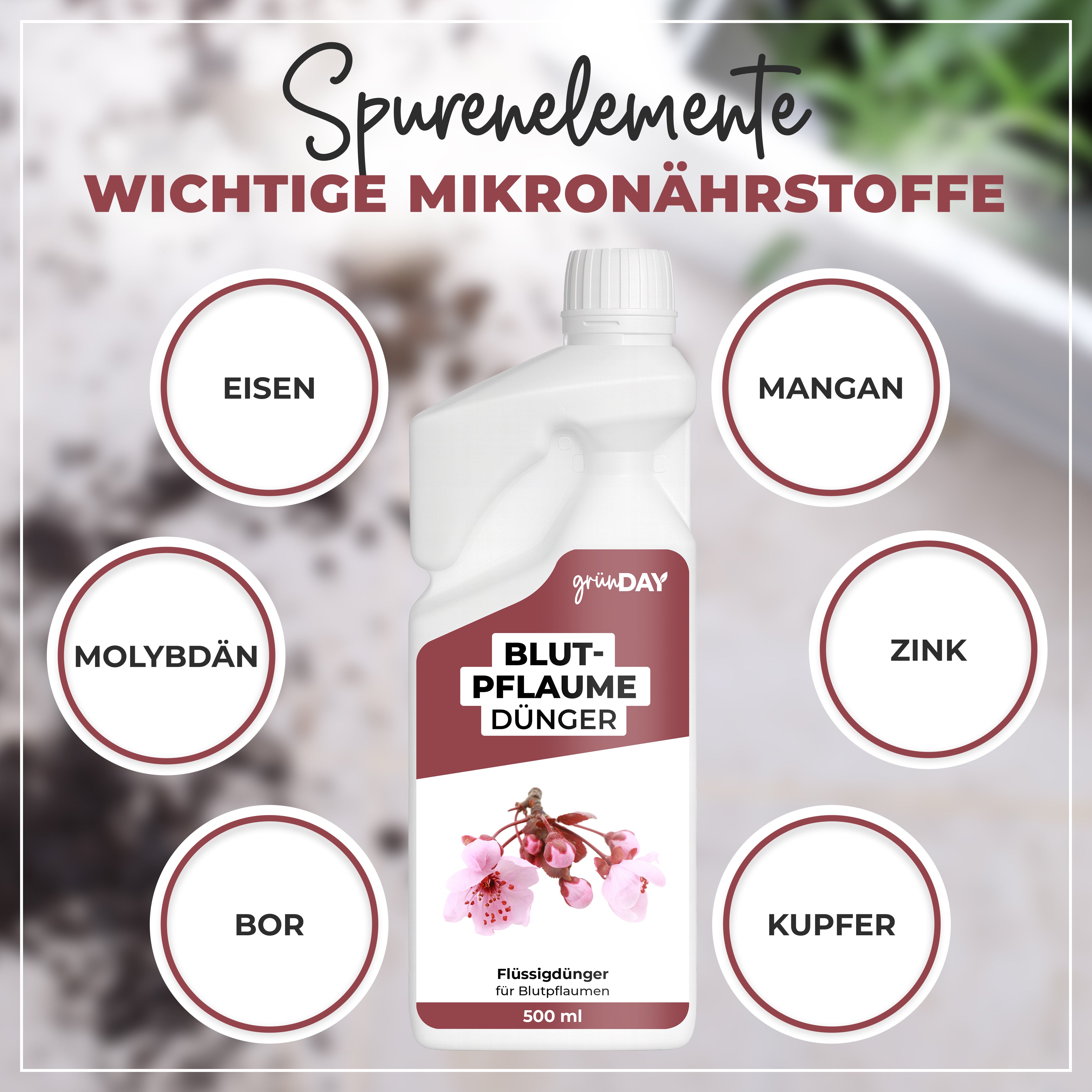 Gründay Blutpflaume Dünger – Produktansicht 5