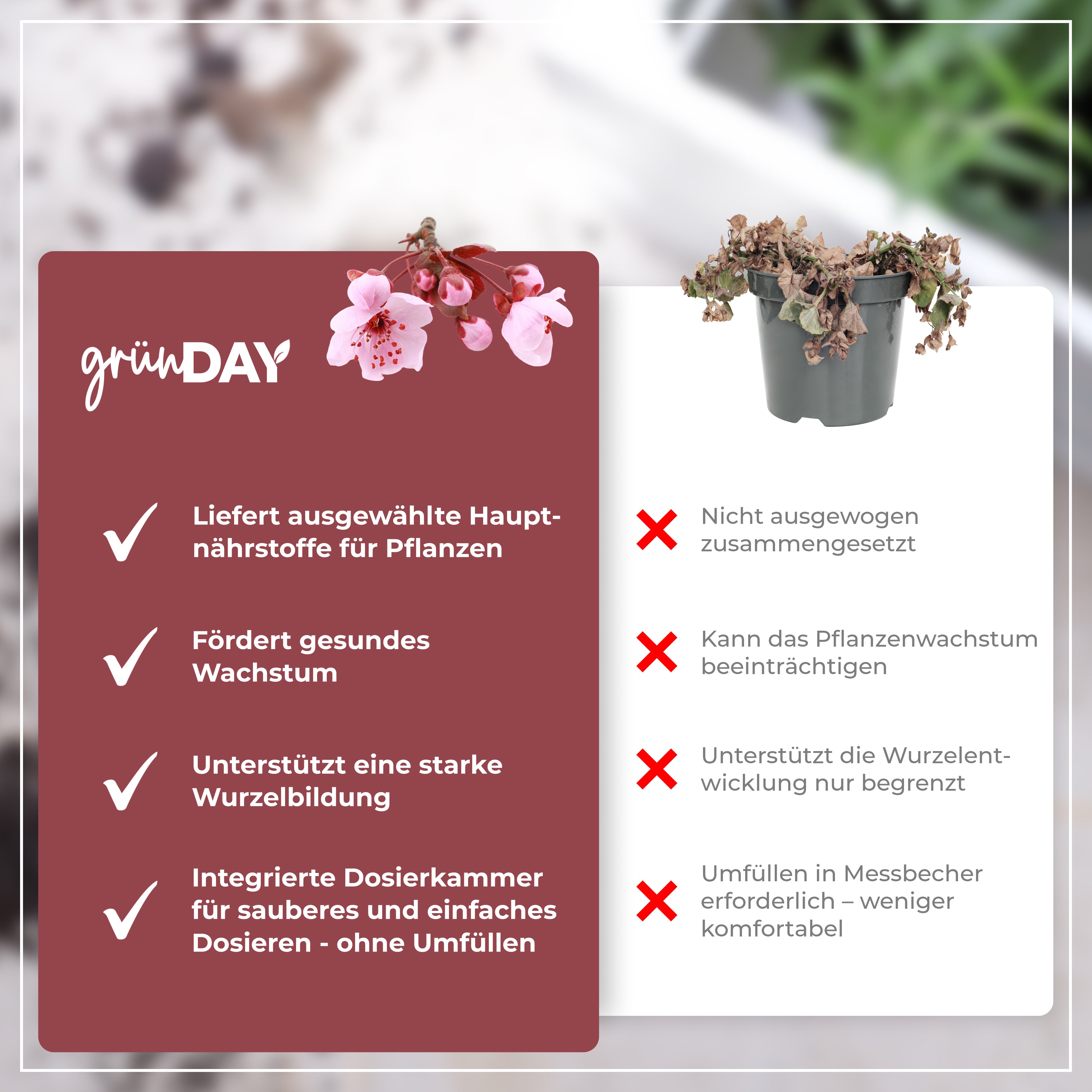Gründay Blutpflaume Dünger – Produktansicht 6