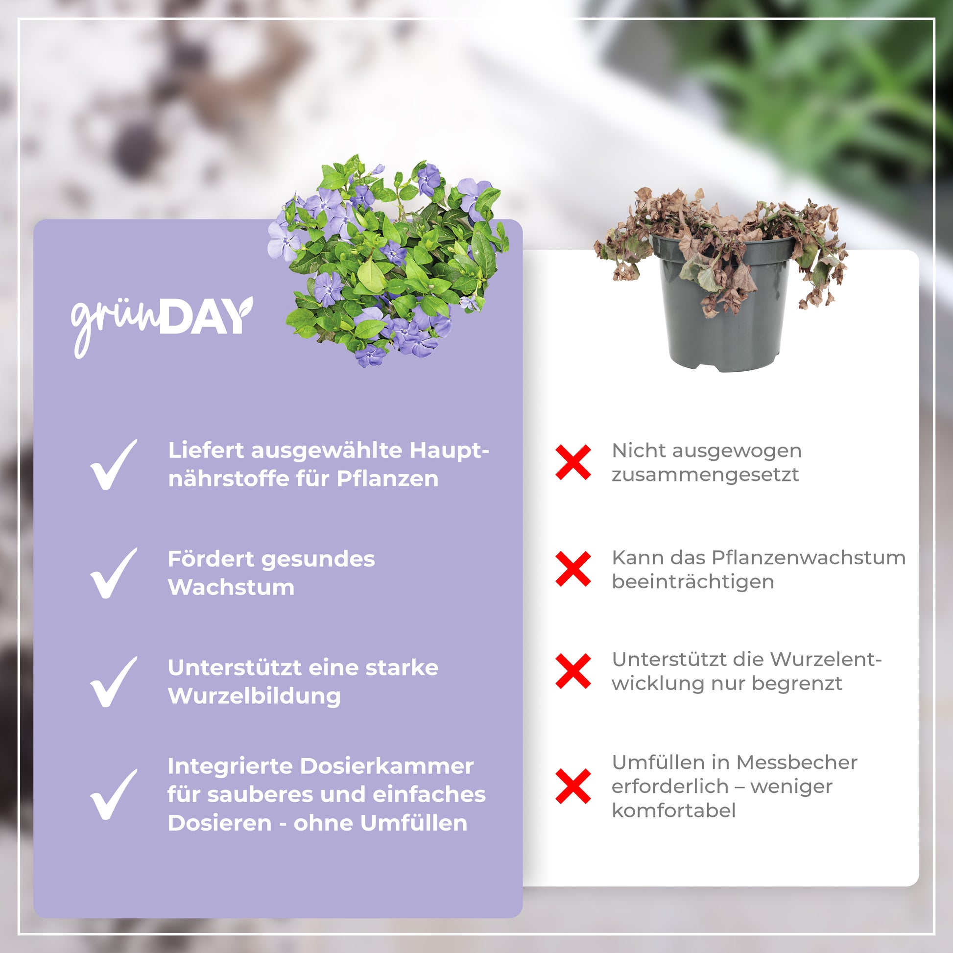 Gründay Bodendeckerdünger – Produktansicht 6